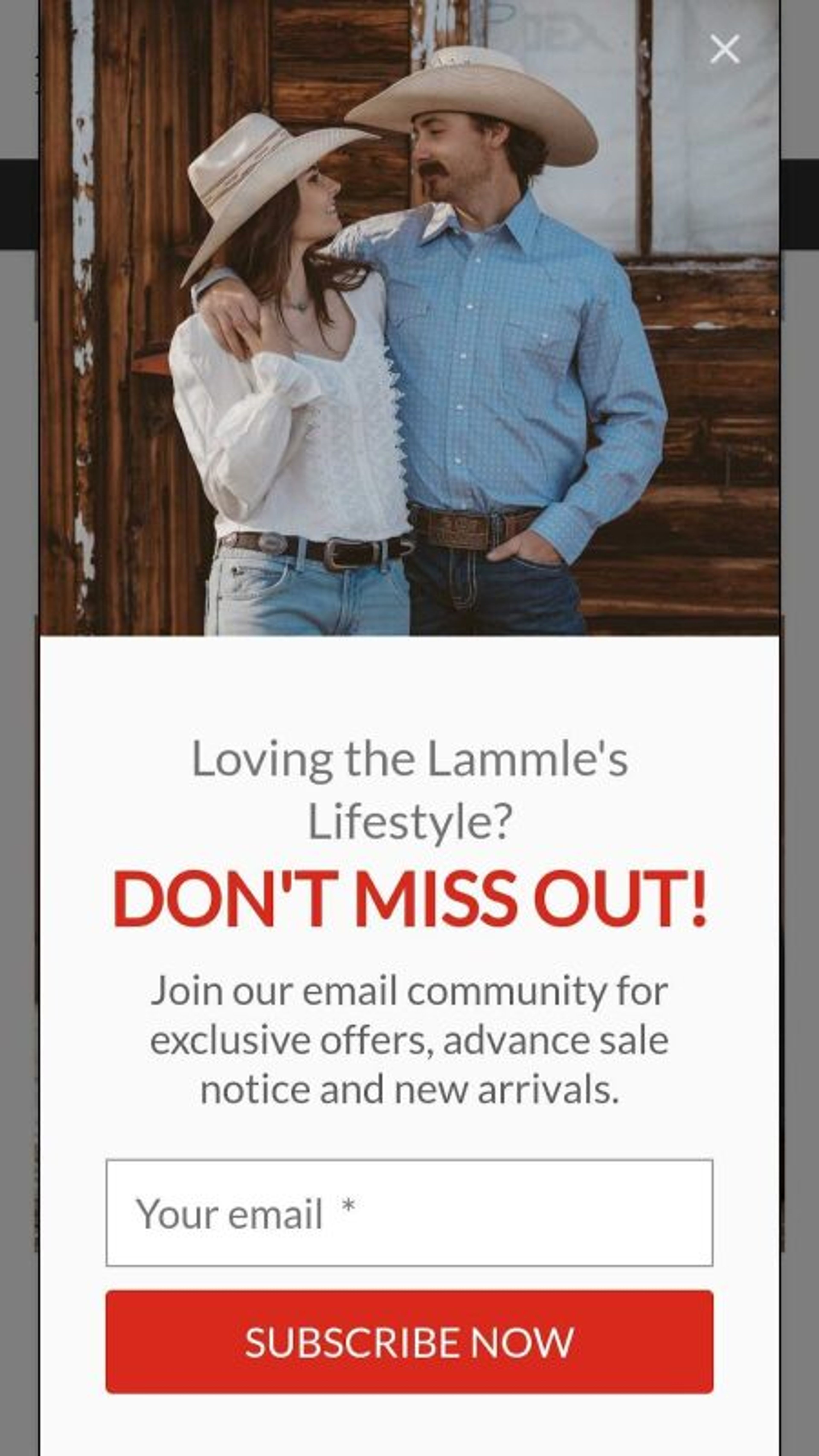 Lammle's full screen popups mobile version helps to get more leads