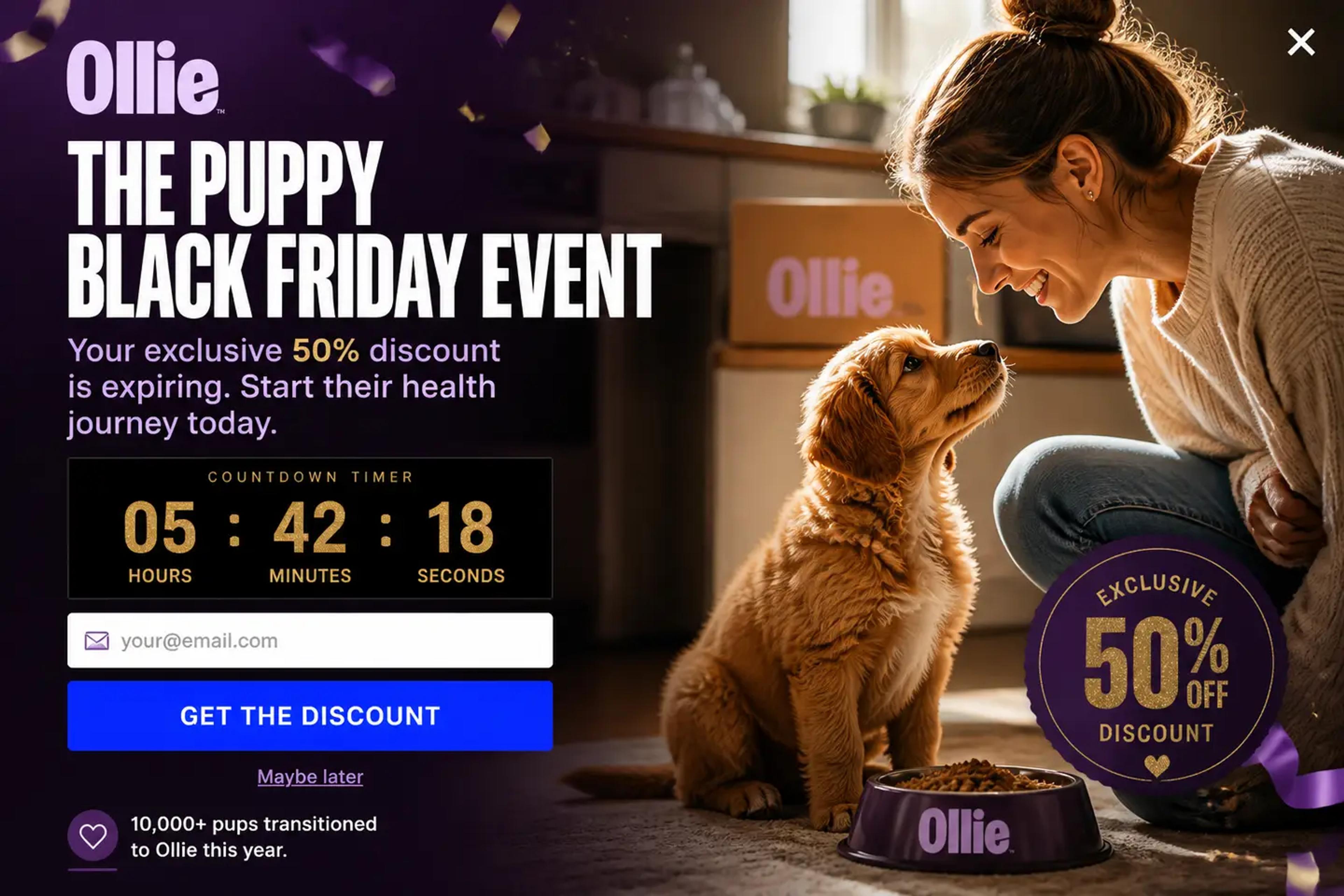 flash sale popup example