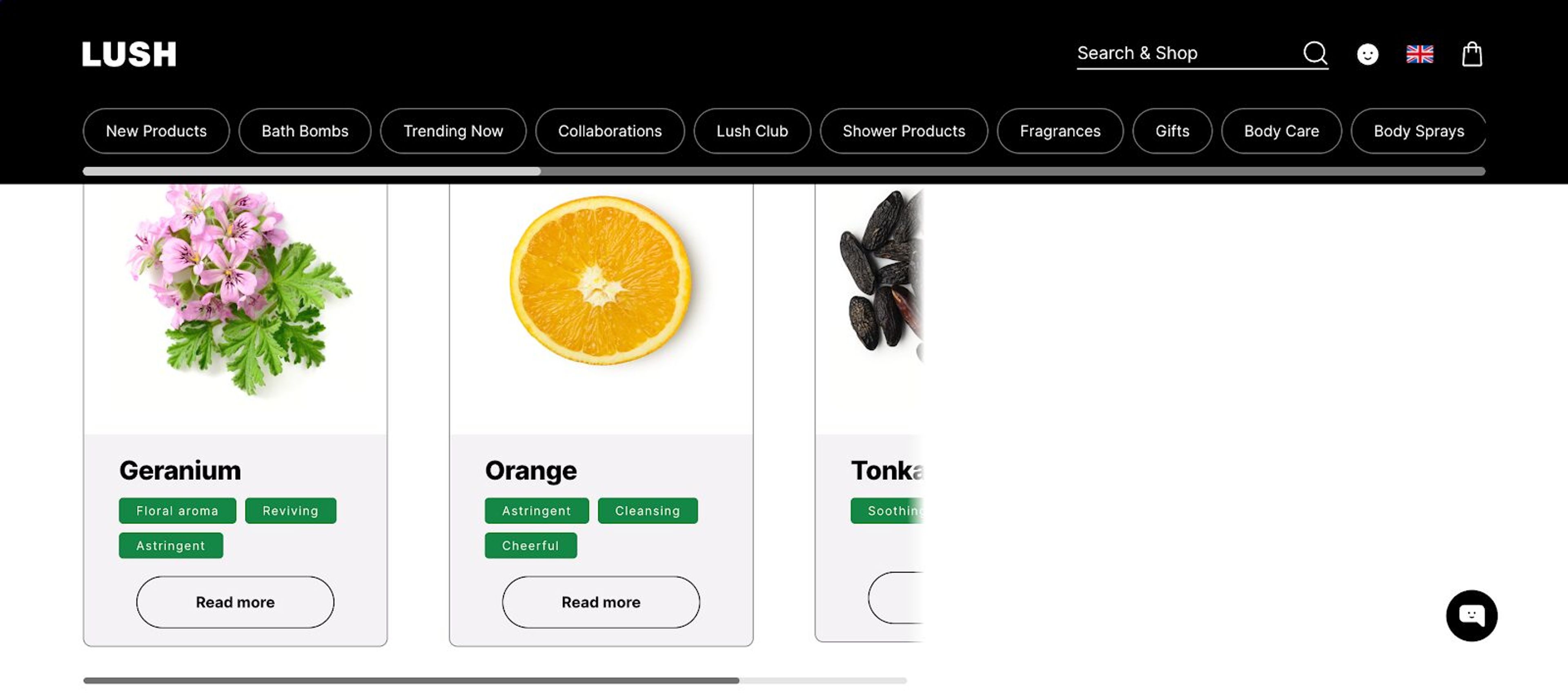 Lush cosmetics ingerdients