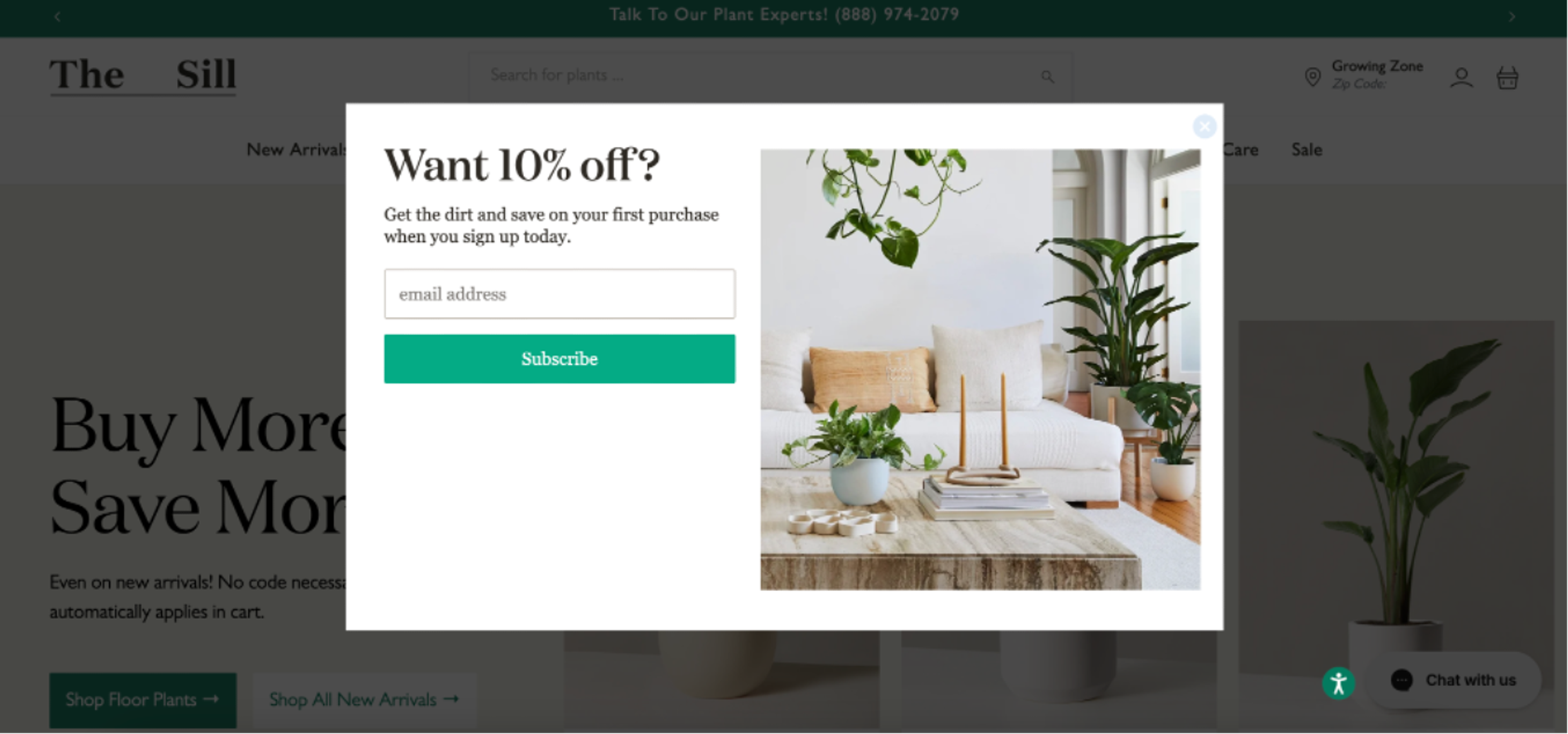 Illustration for: The Sill Marketing Breakdown: How They Grew into a Leading DTC Plant Brand