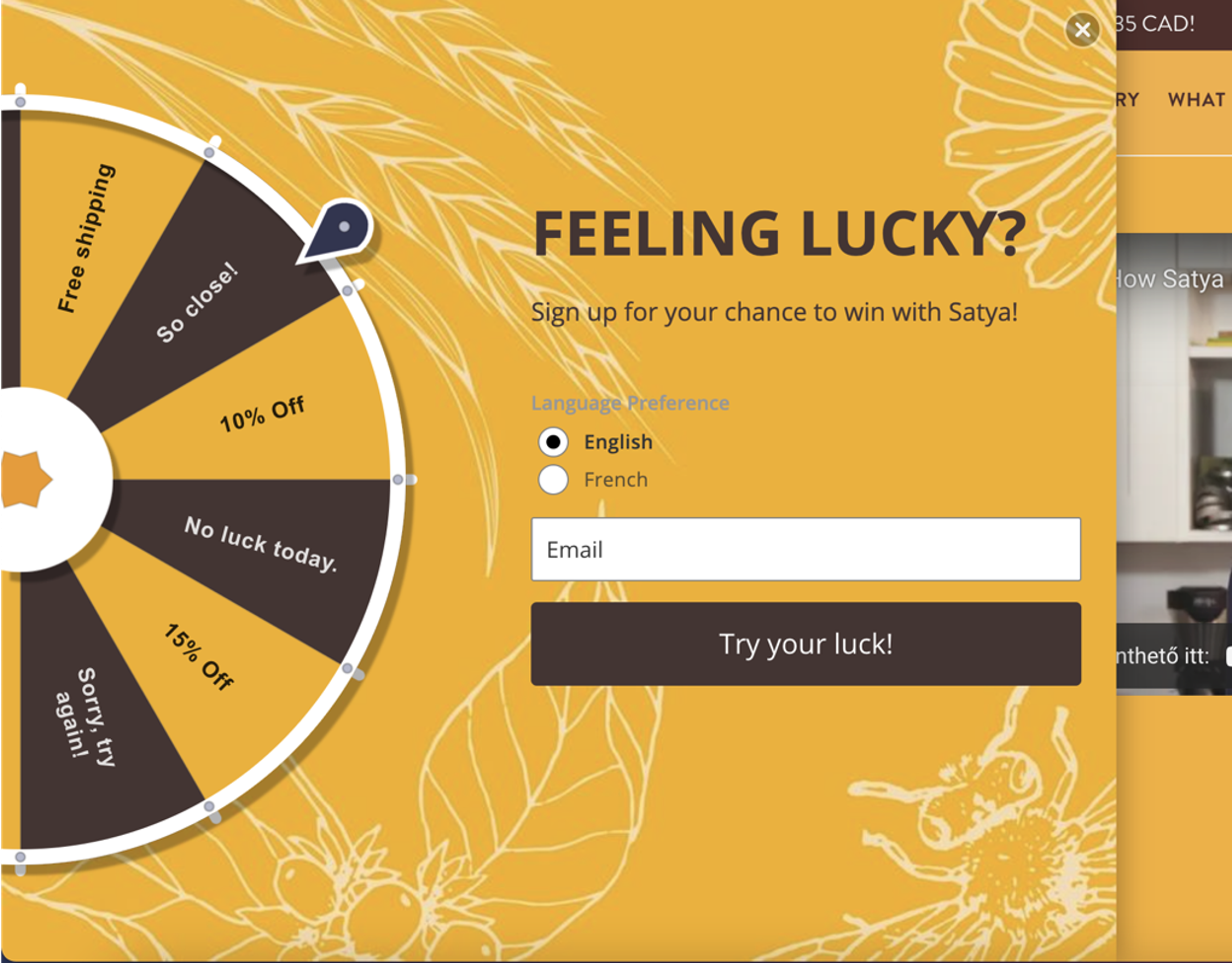 Gamification lightbox popup example