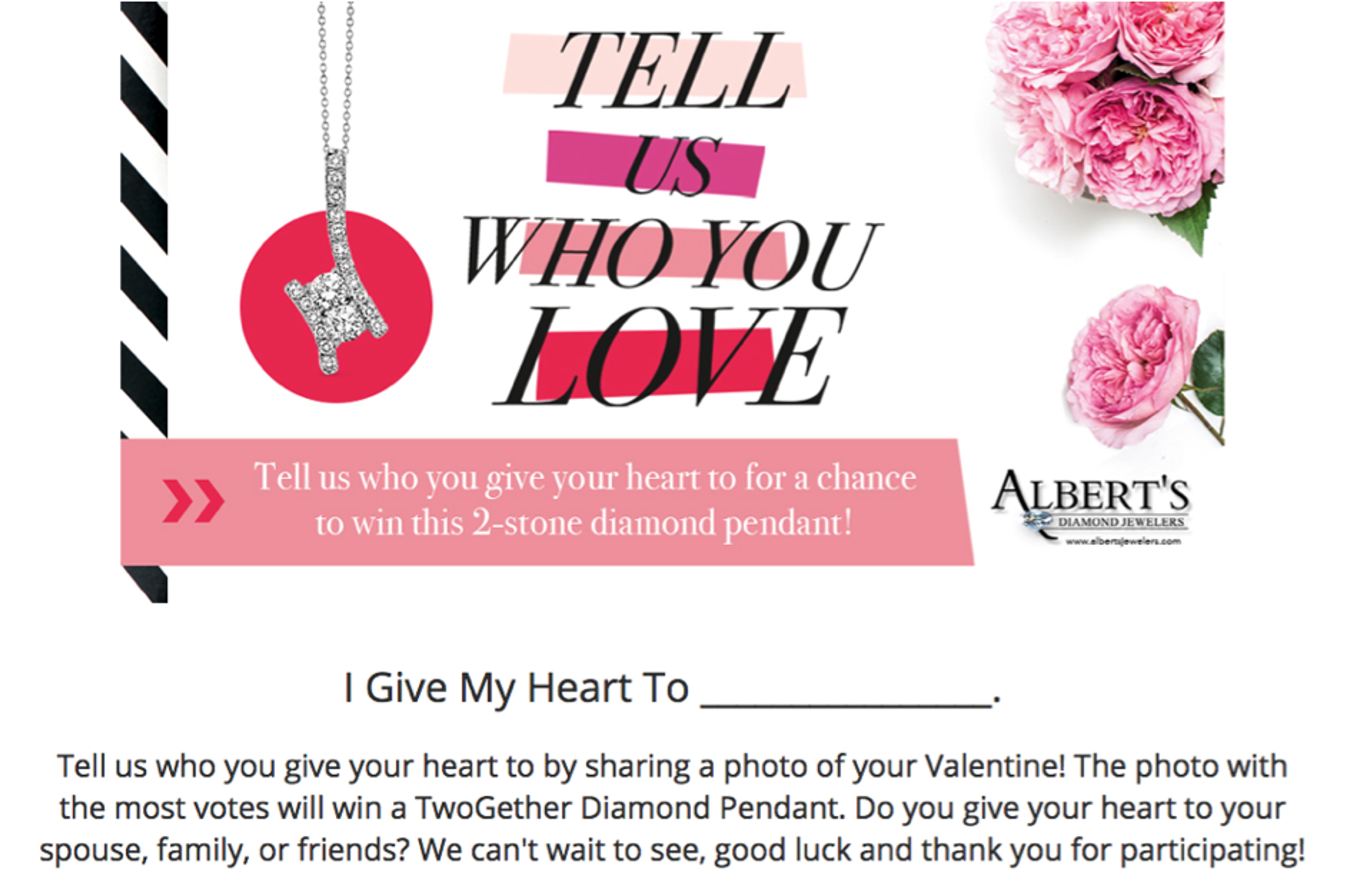 Albert’s photo contests example