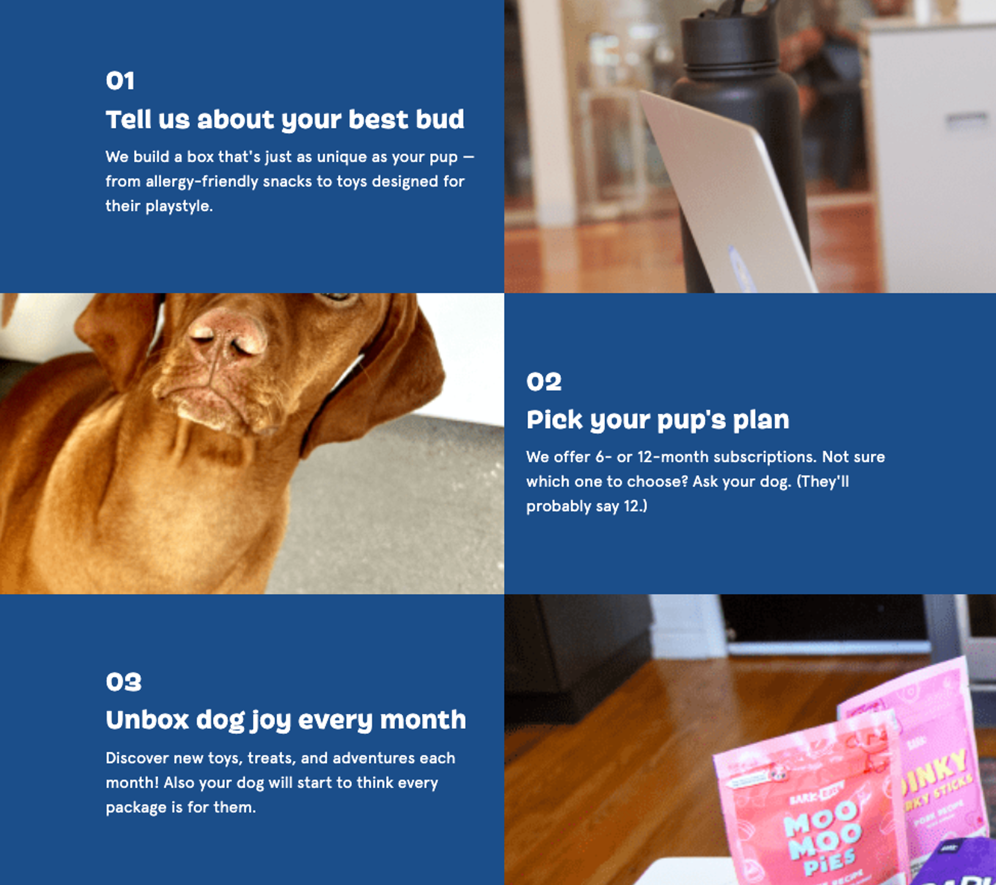 Barkbox subscription options