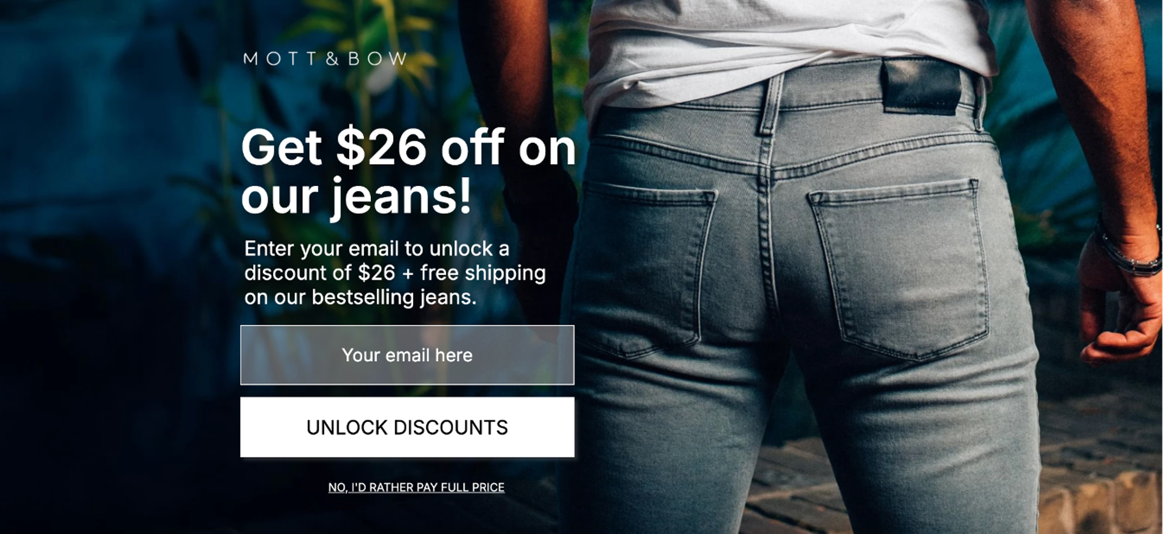 Simple pop-up offering a discount and free shipping.