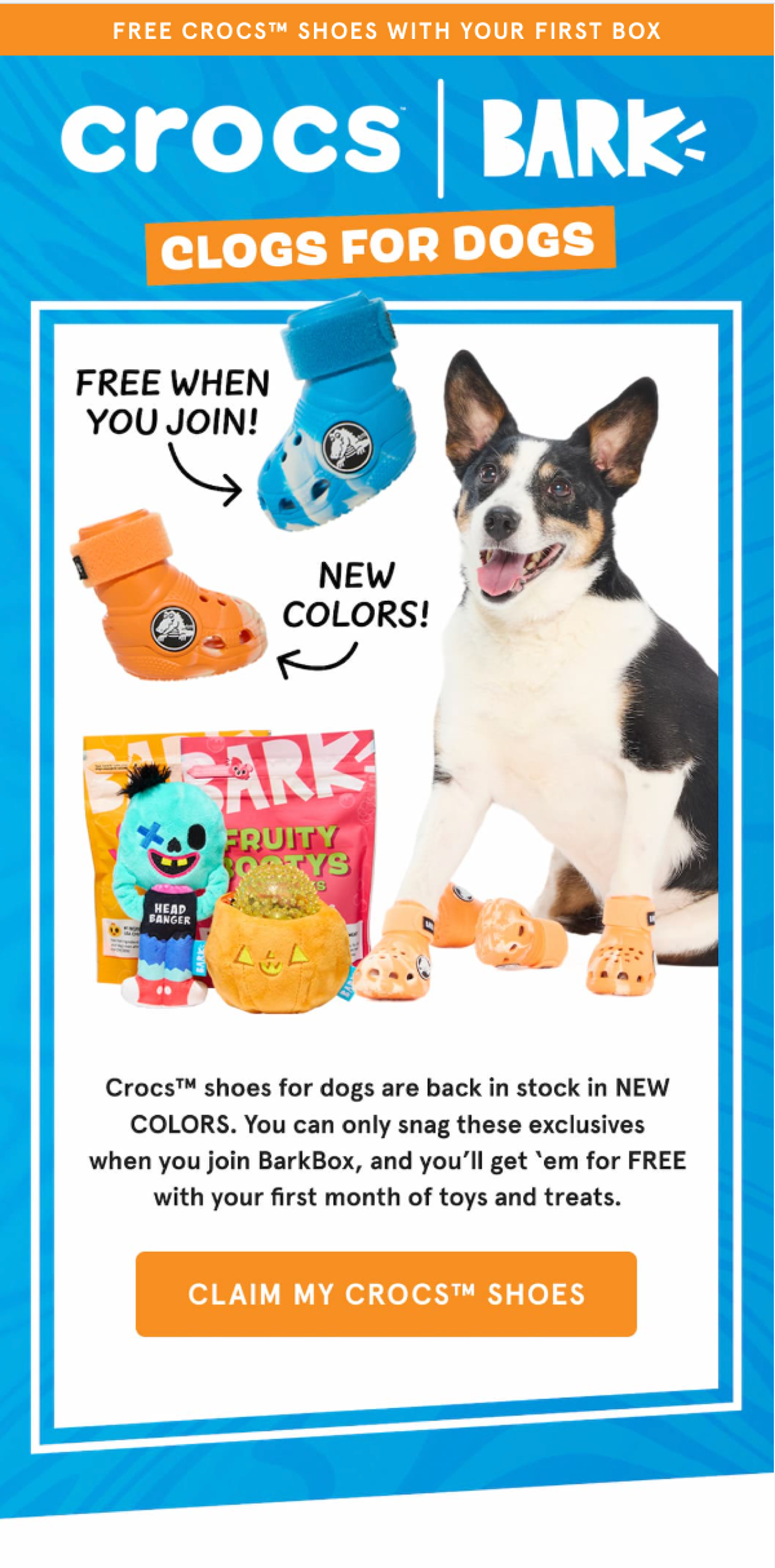 Email about BARK Crocs collection.