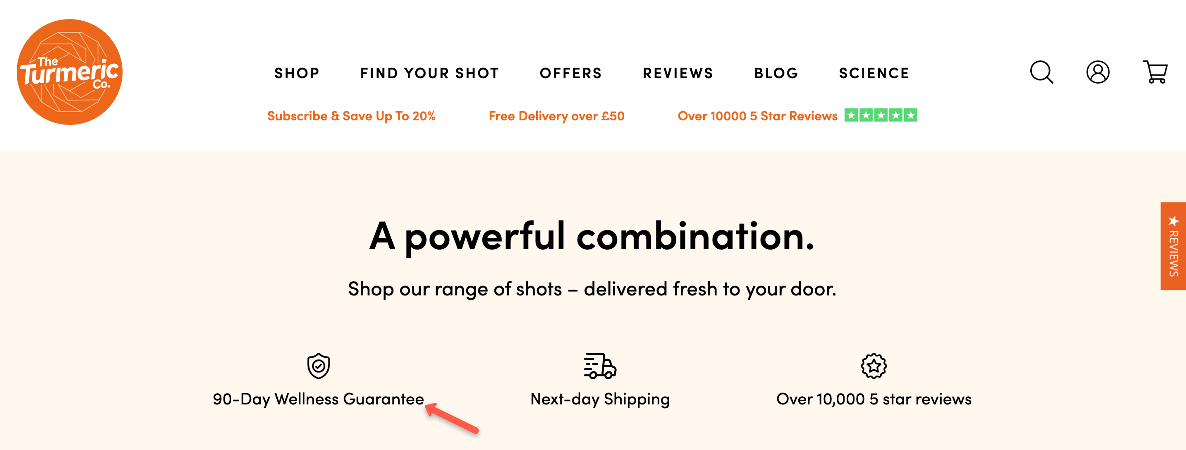 The Turmeric Co. website example using a power word