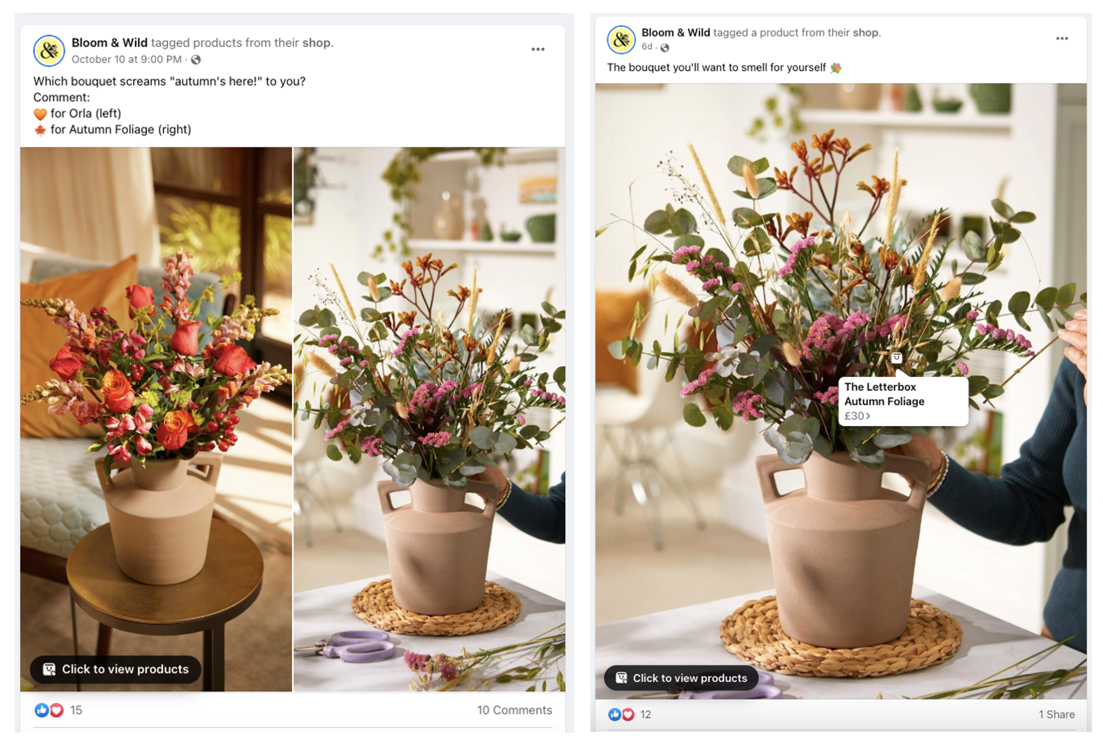 Bloom &amp; Wild’s Facebook Posts