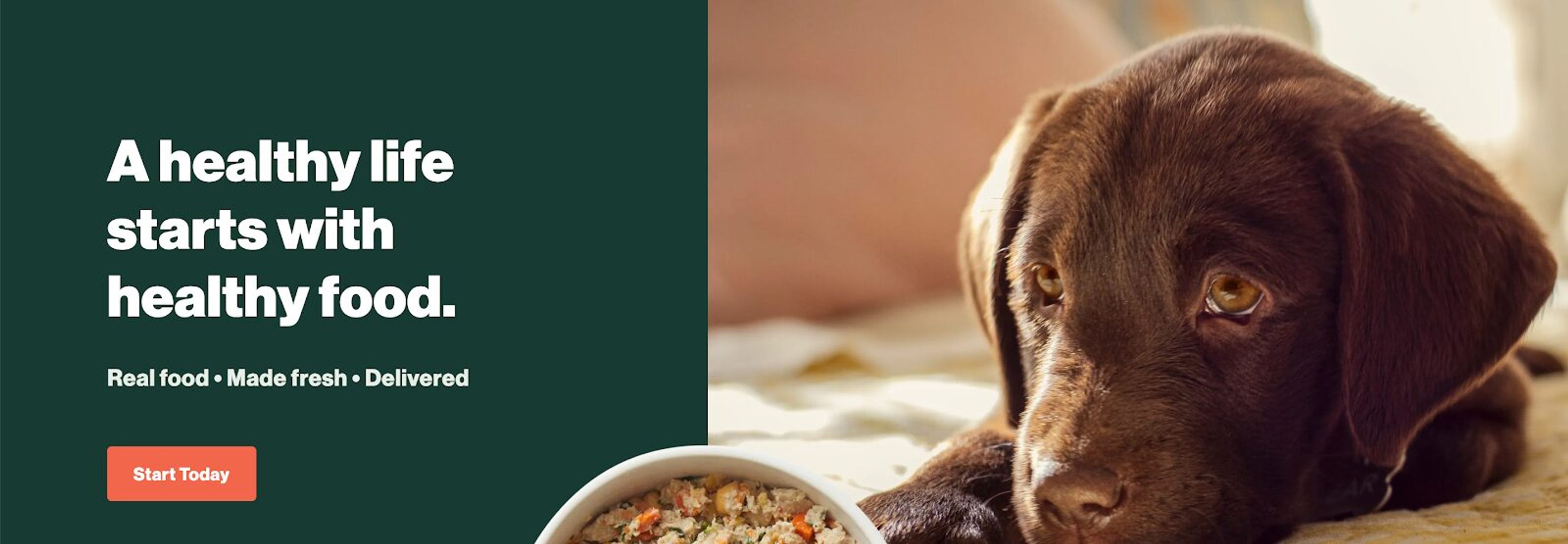 The Farmer's Dog cta button color is orange, which is a great complementary color on the green background.