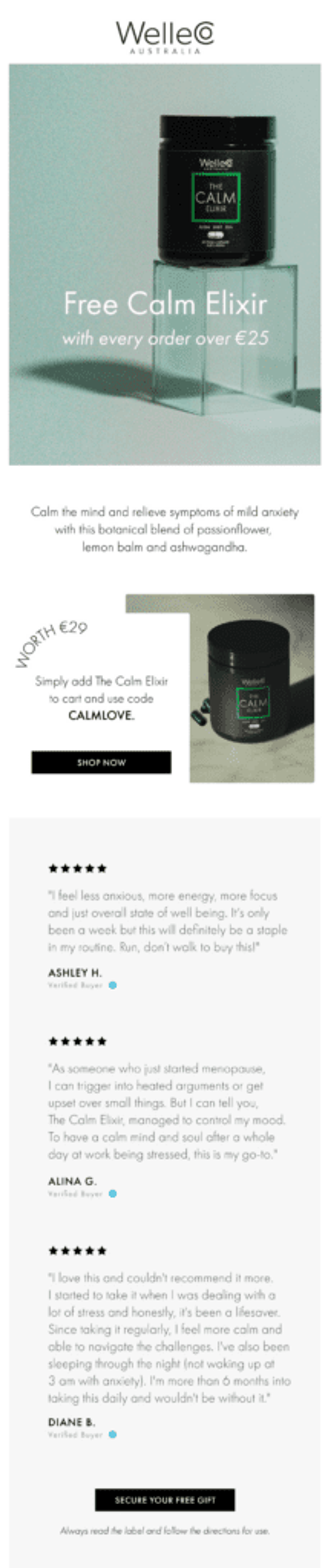 WelleCo email marketing campaign