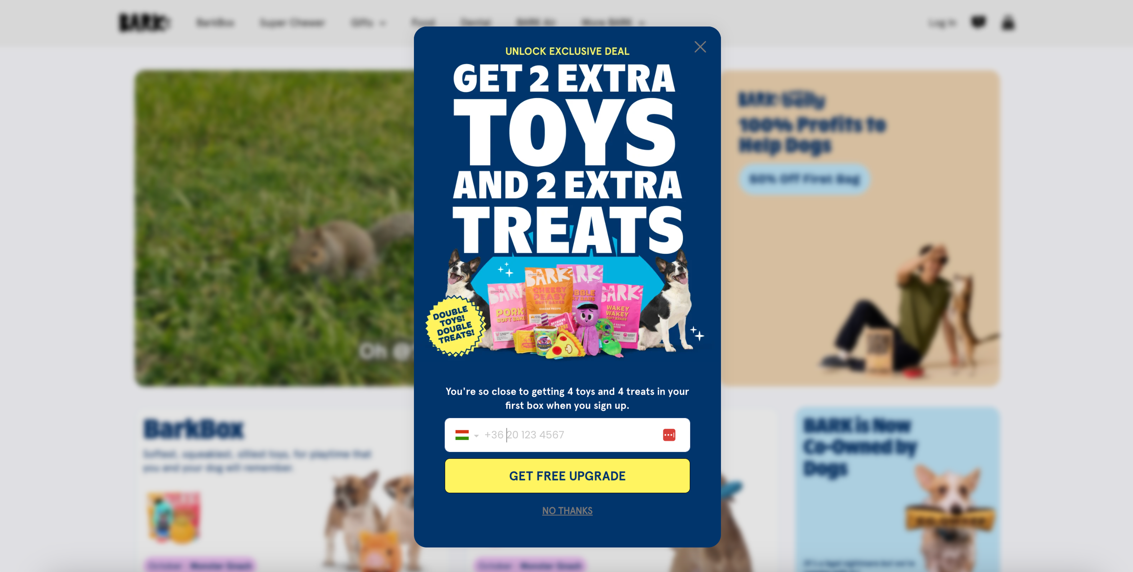 Bark requests for your phone number