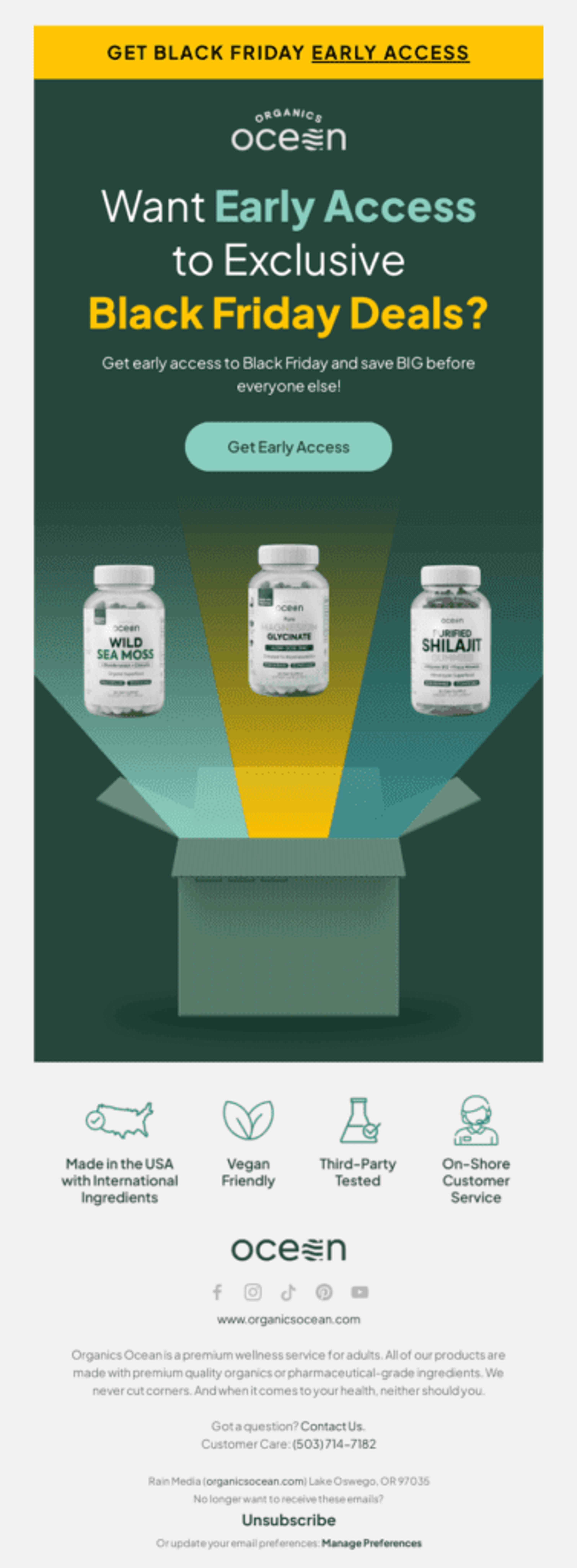 Organics Ocean Black Friday email marketing