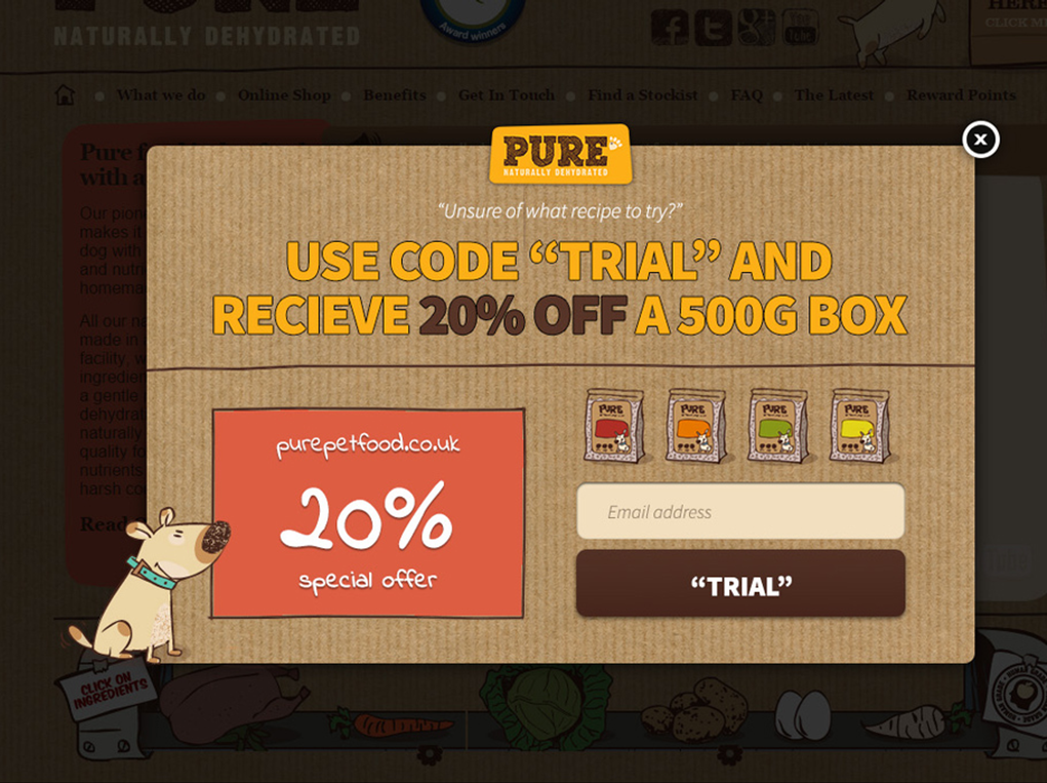 Discount Pop Up Examples 19 Discount Popup Examples to Maximize Conversions in 2026