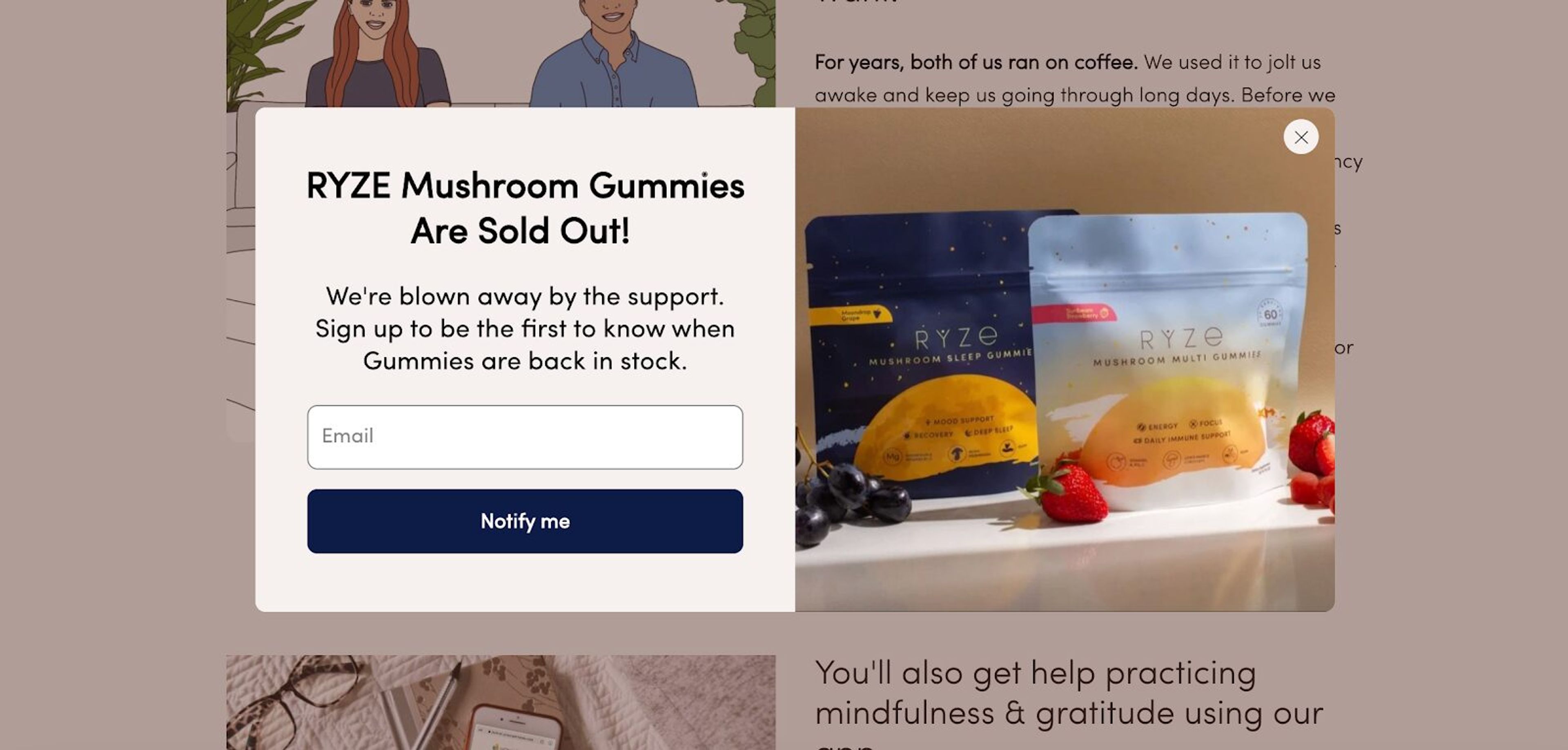 Ryze Mushroom Coffee is a proof that you can get more leads by informing your customers regularly about the stock.