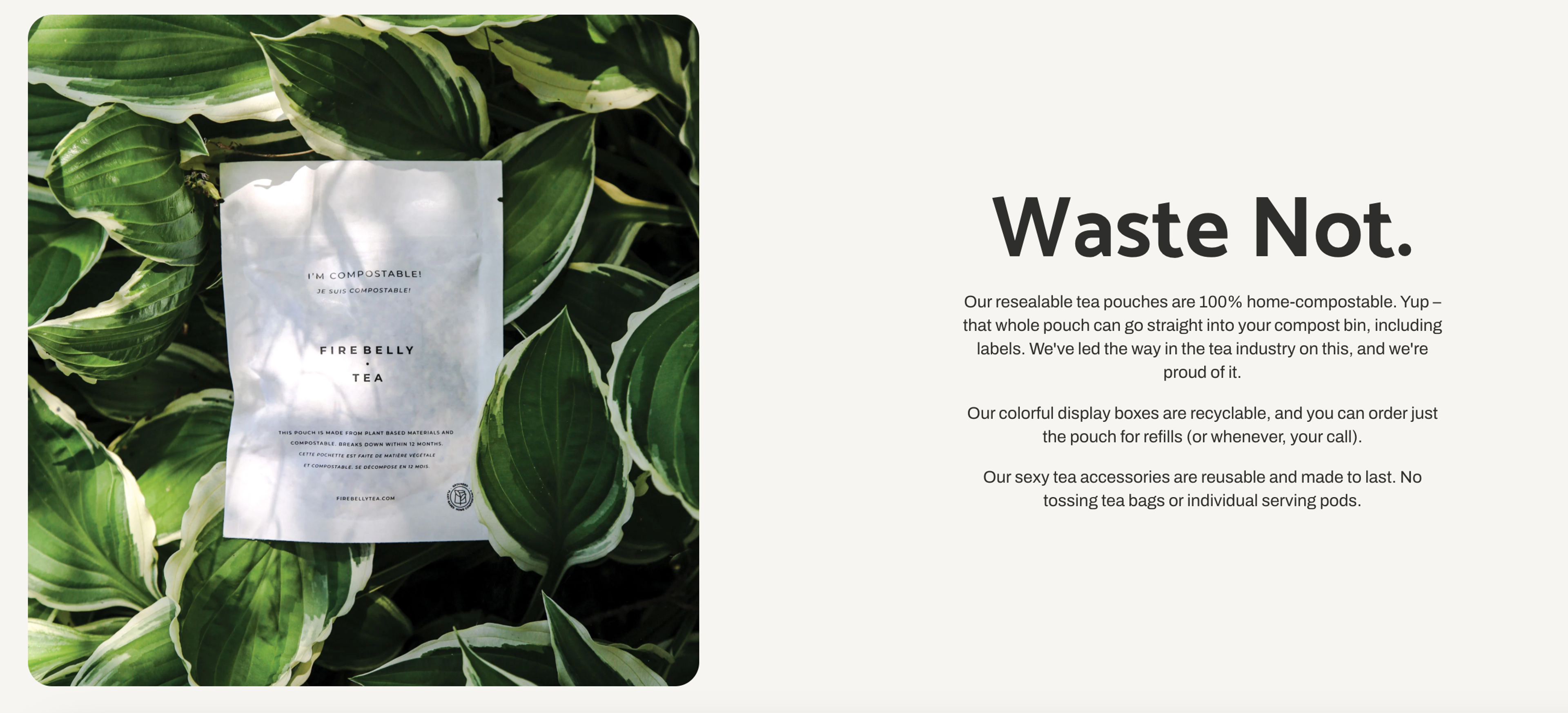 Illustration for: Firebelly Tea: A Modern Marketing Strategy for Reimagining the Tea Industry