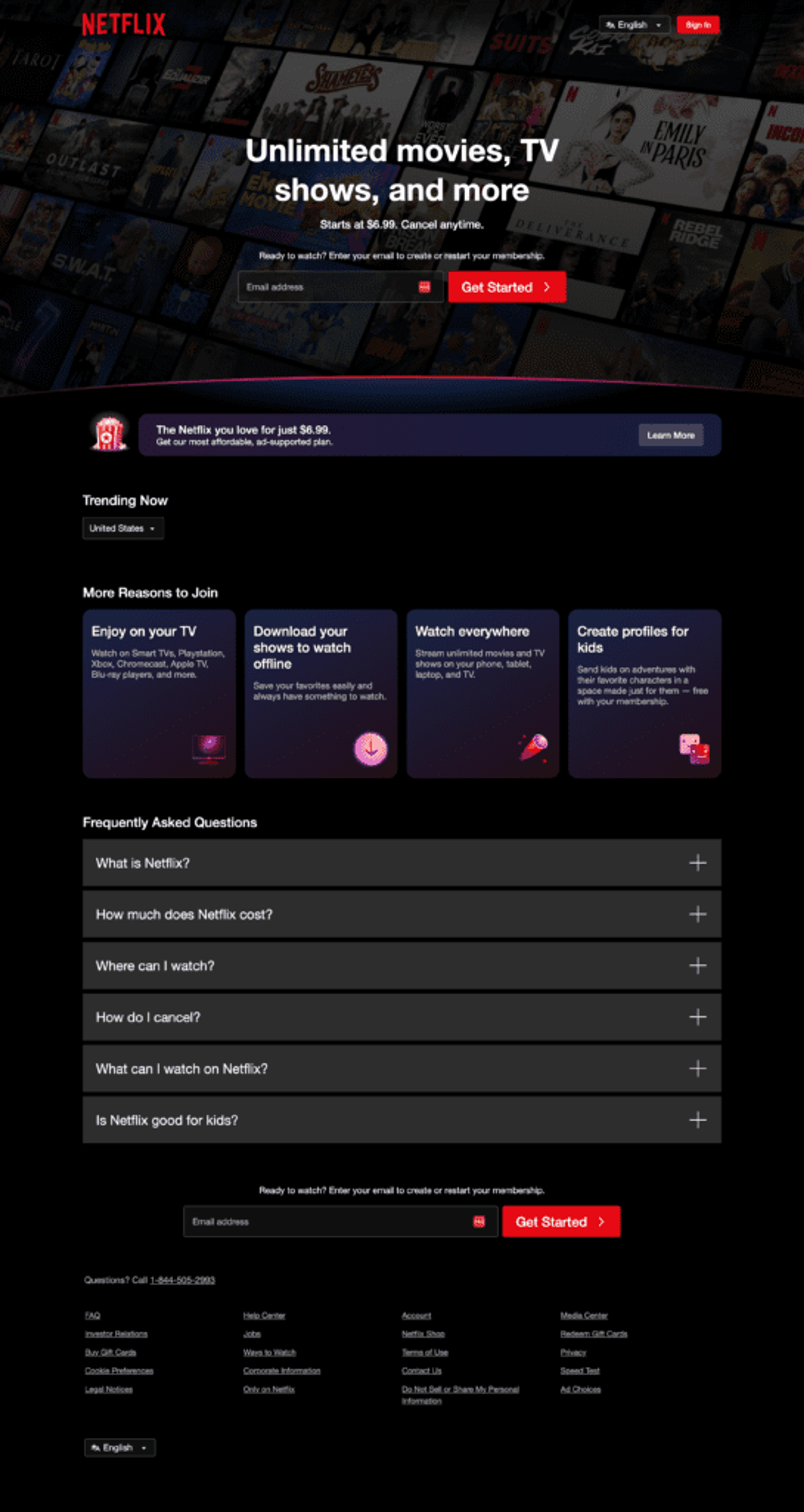 Netflix sales landing page