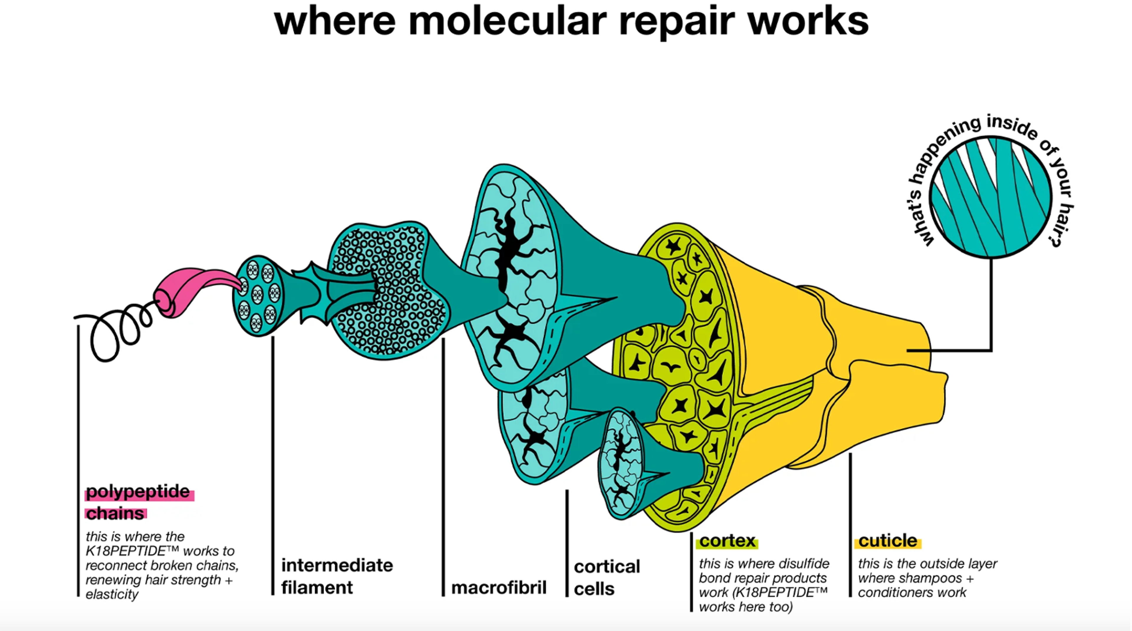 Illustration for: The Role of Social Media in K18's Marketing Strategy: Revolutionizing the Hair Care Industry