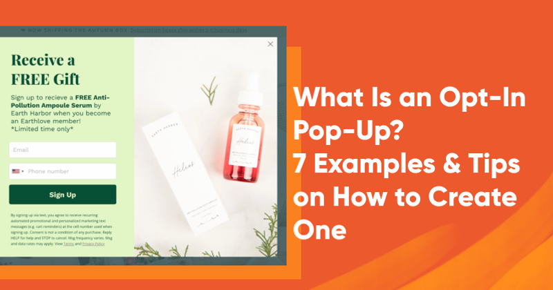 What Is an Opt-In Pop-Up? 7 Examples & Tips on How to Create One