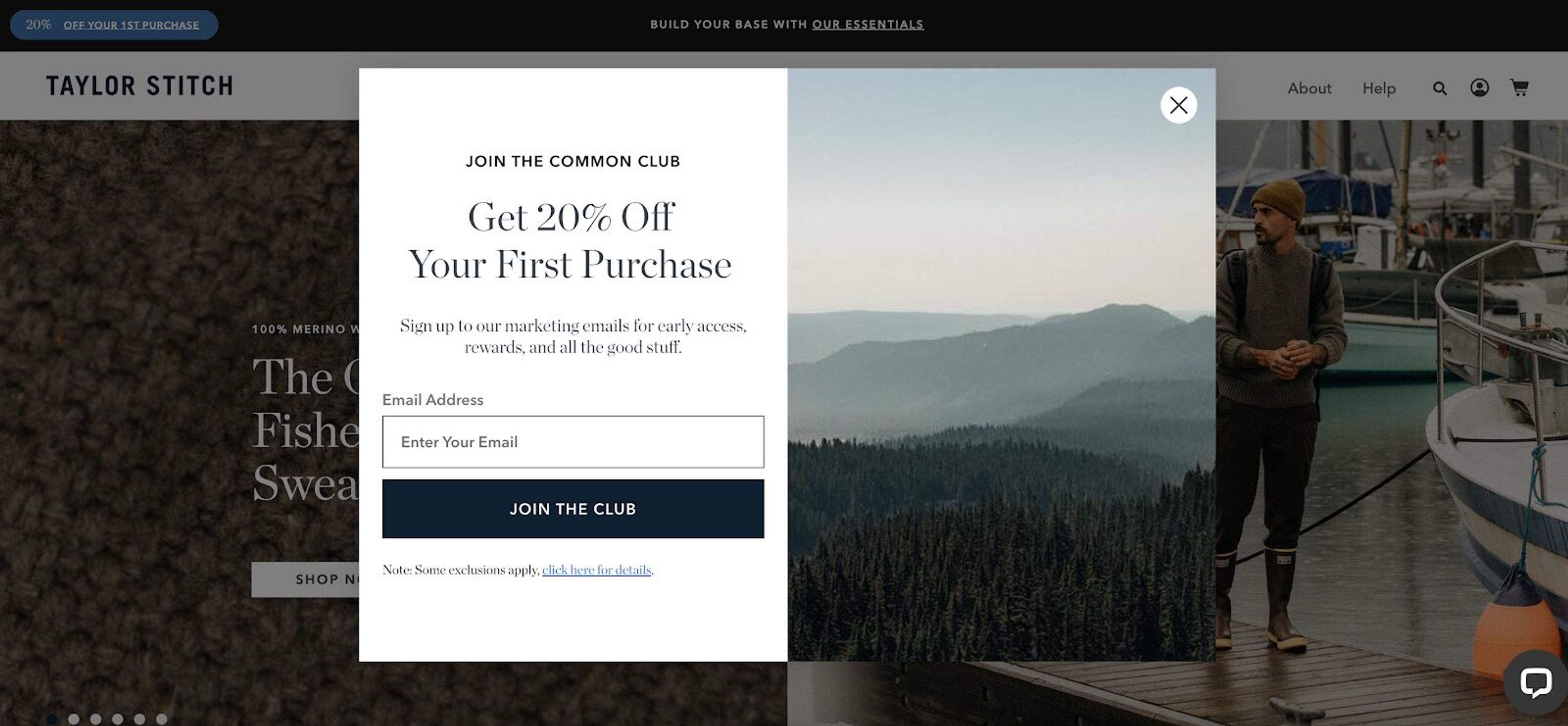 Minimalist pop-up offering 20% off for newsletter sign-up.