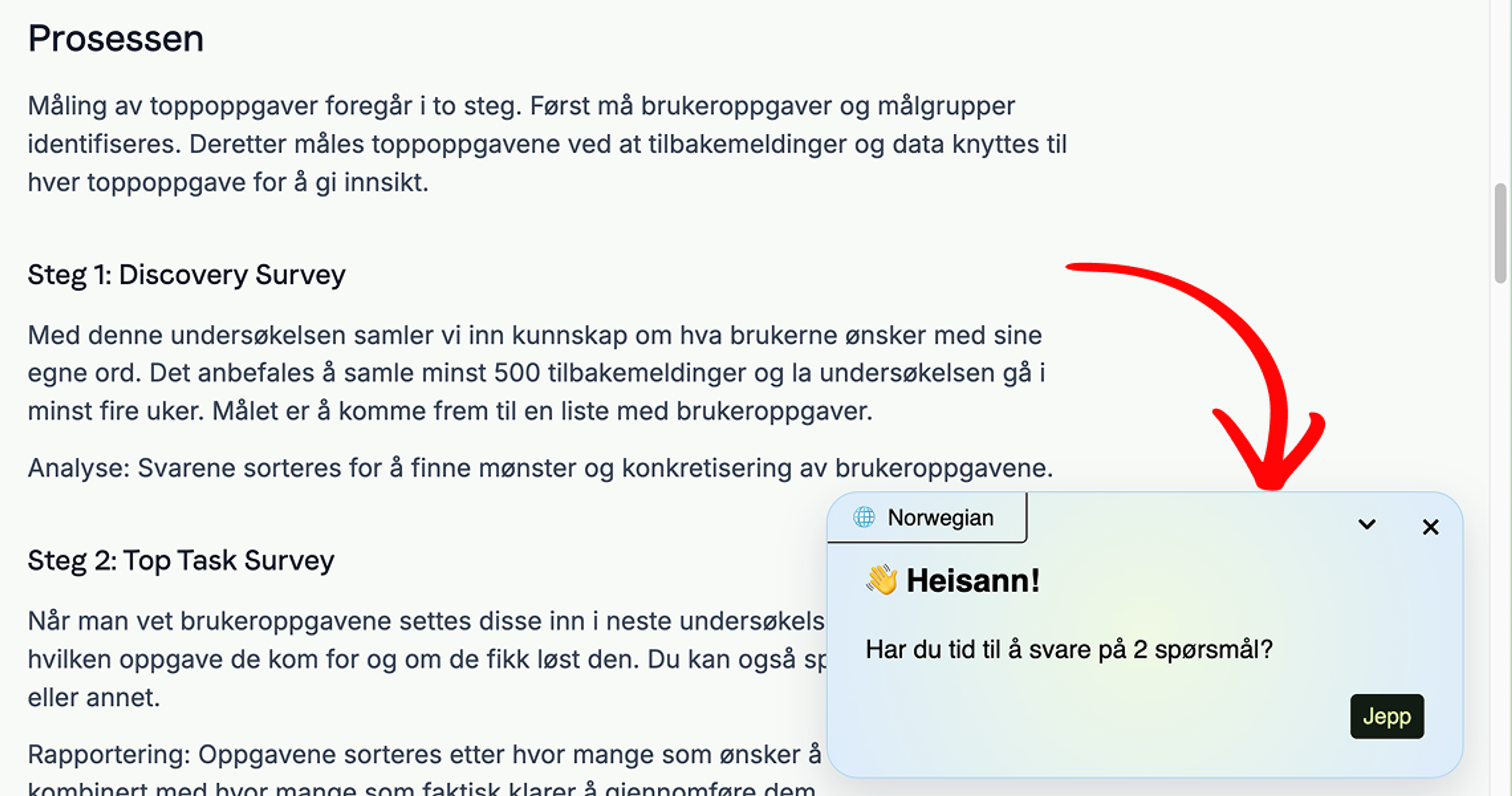 Illustrasjon: Guide: Installasjon av Skyra på din nettside