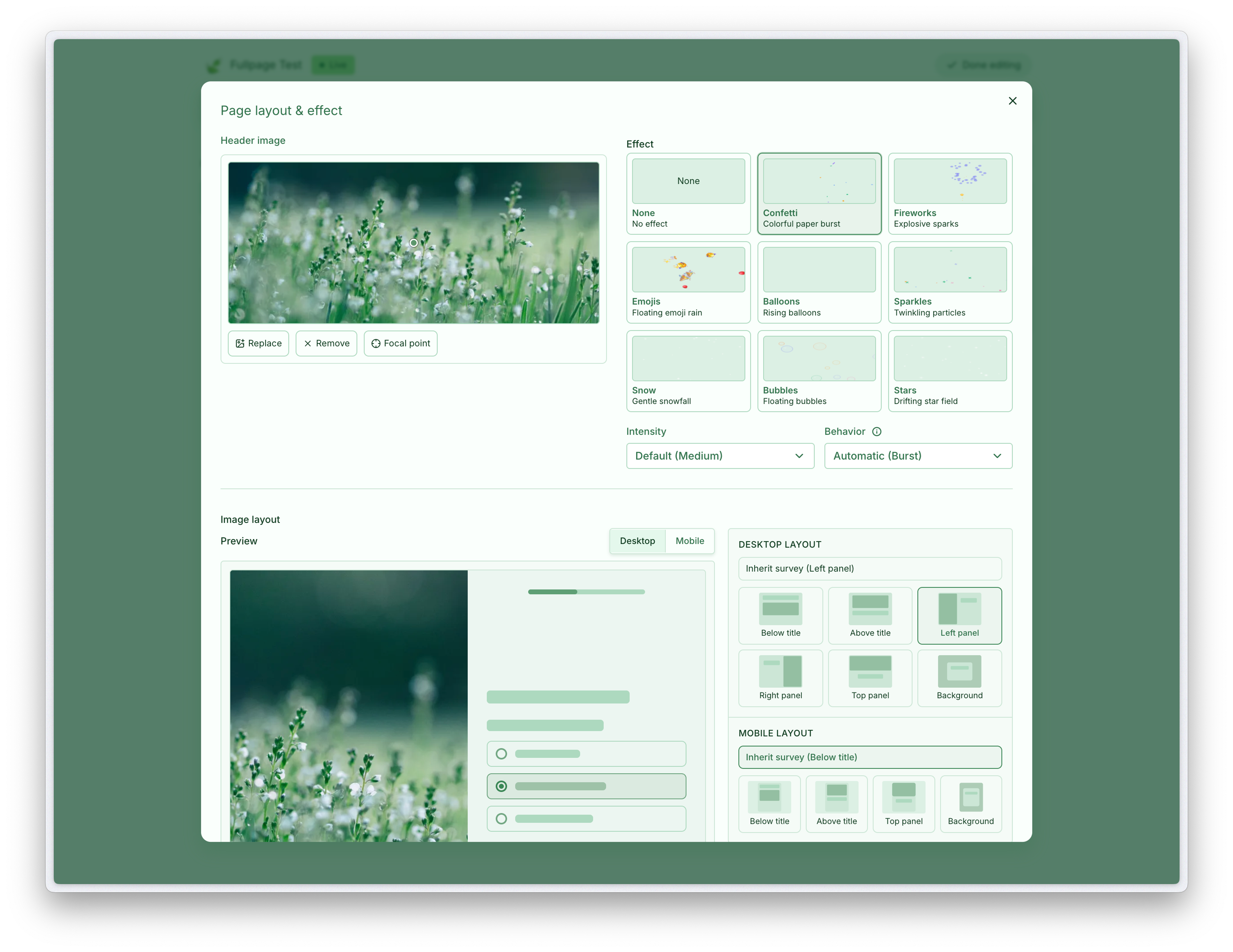 Page effects