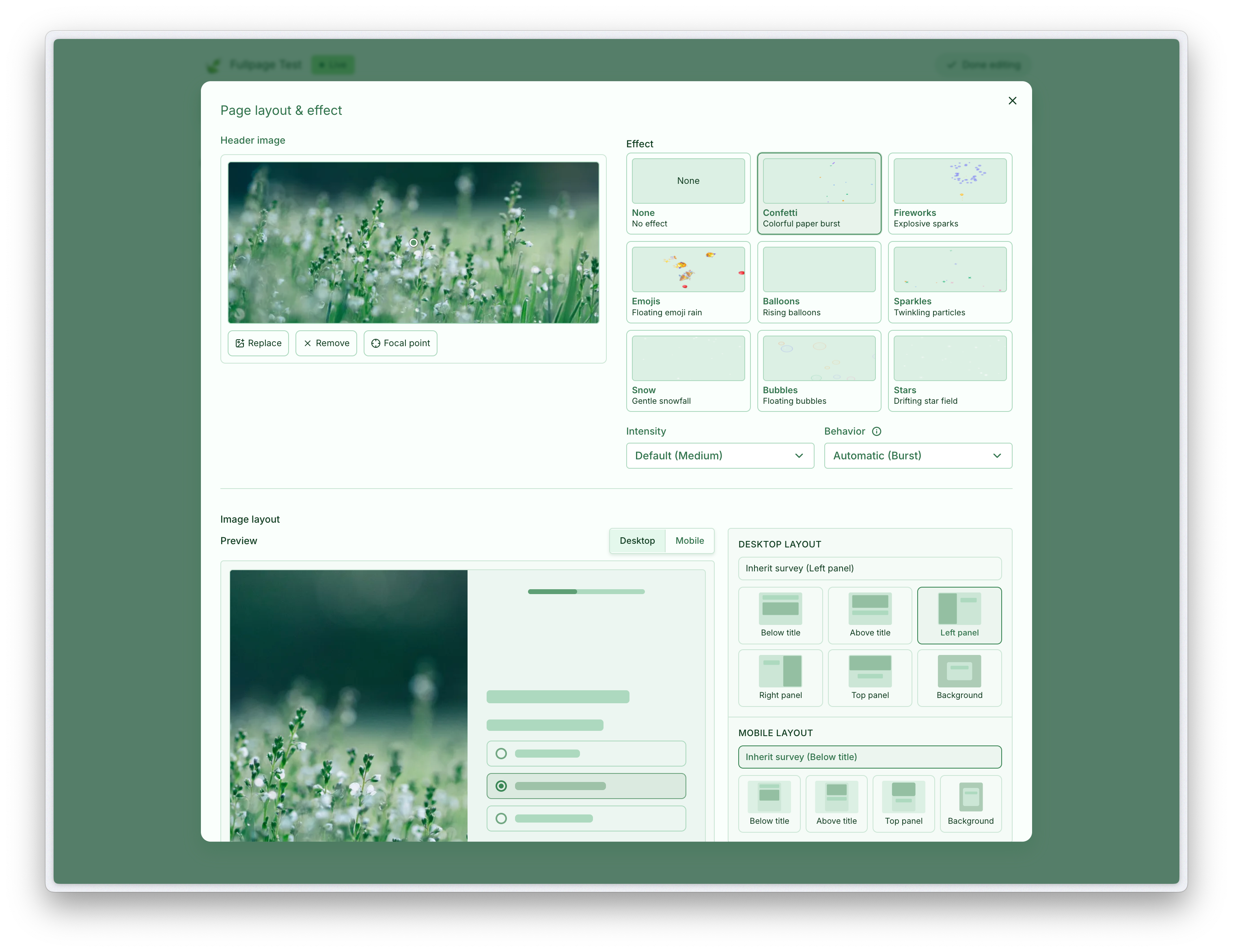 Page effects