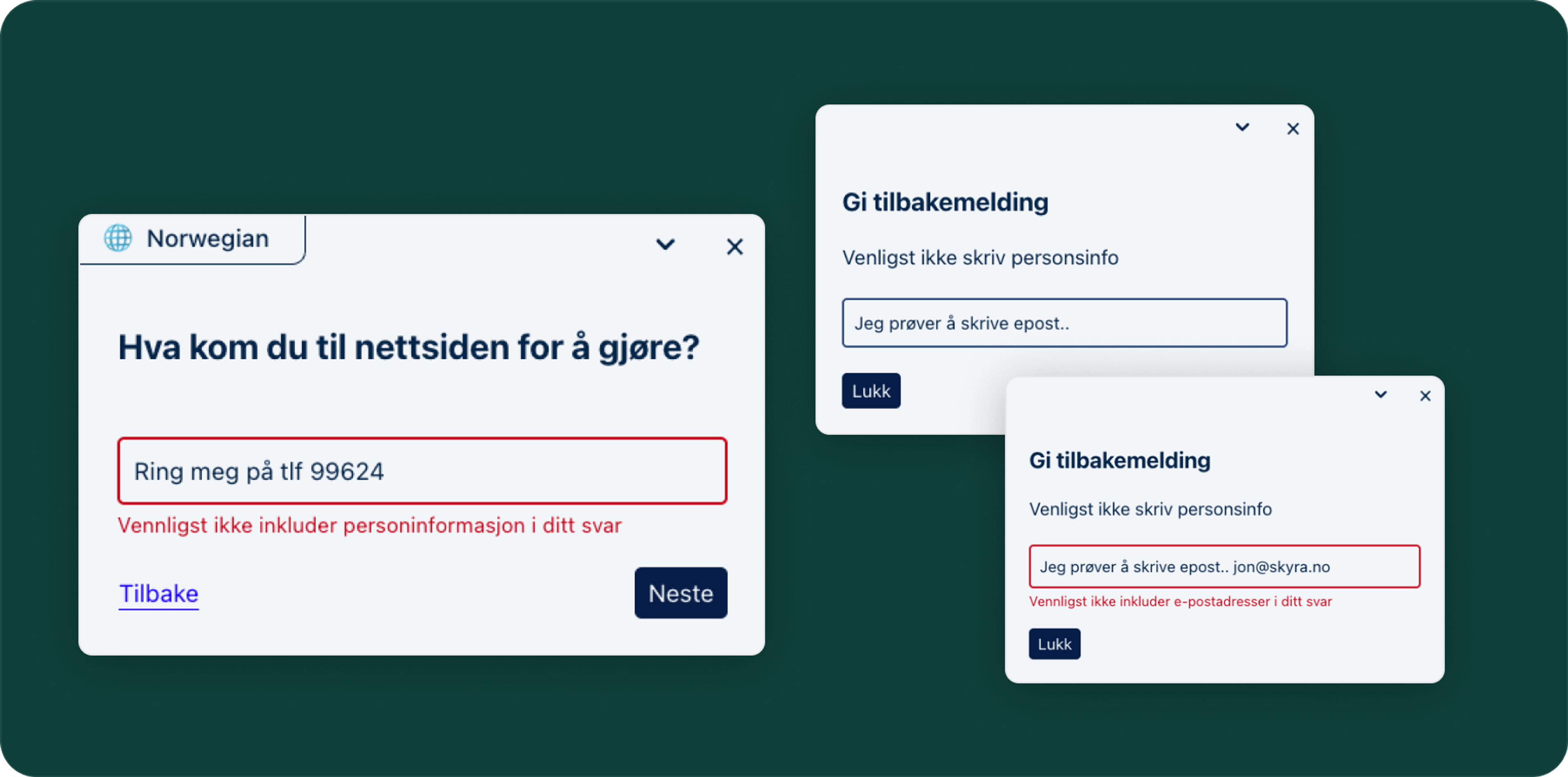 Illustrasjon: Funksjonalitet for Personvern / GDPR