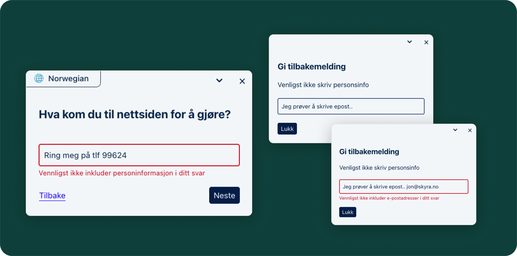 Illustrasjon: Funksjonalitet for Personvern / GDPR