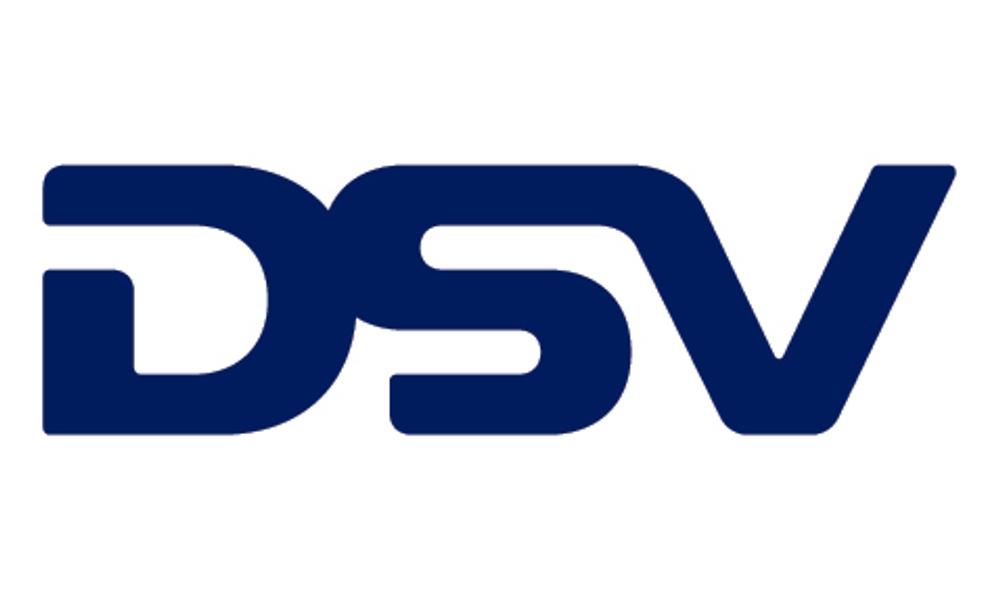 dsv logo
