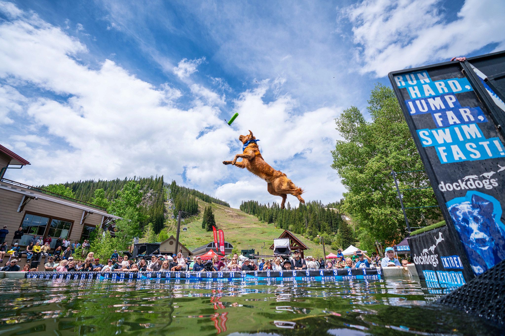 Dog jumping for a frisbee over a pool of water with a crowd watching