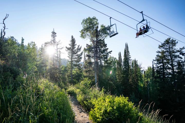 People riding a chairlift up the mountain during a summer day