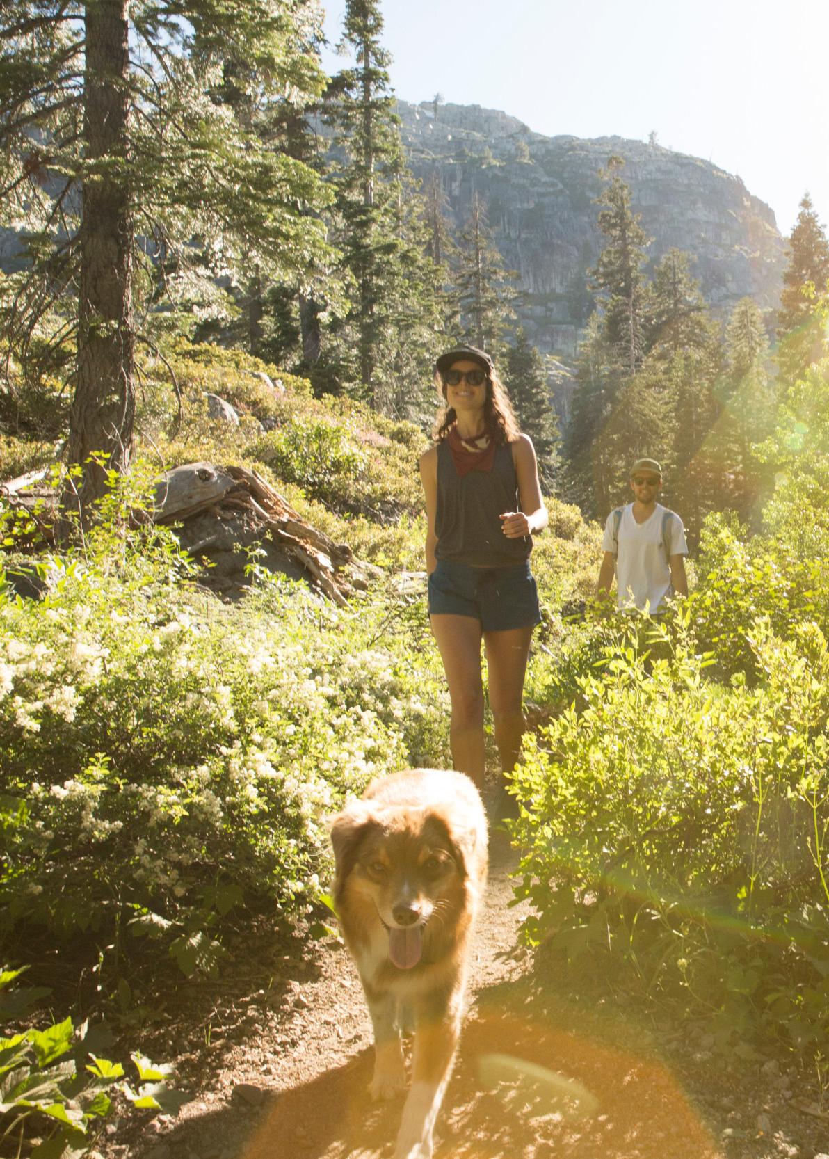 Two people hiking on a mountain trail with a dog
