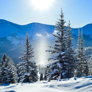 Dreamy winter mountain scene