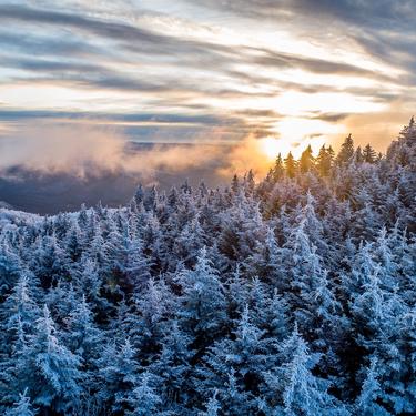 Aerial view of snow-covered trees at sunset