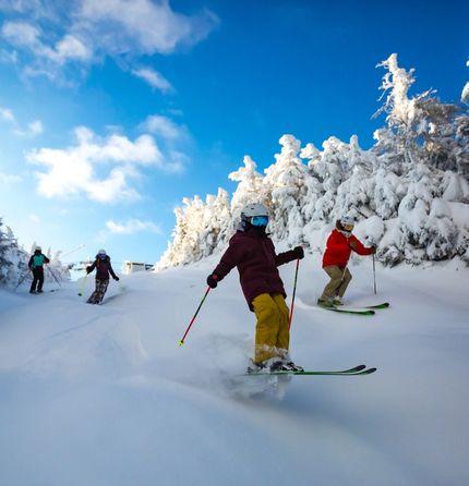 Group of people skiing down a powdery run