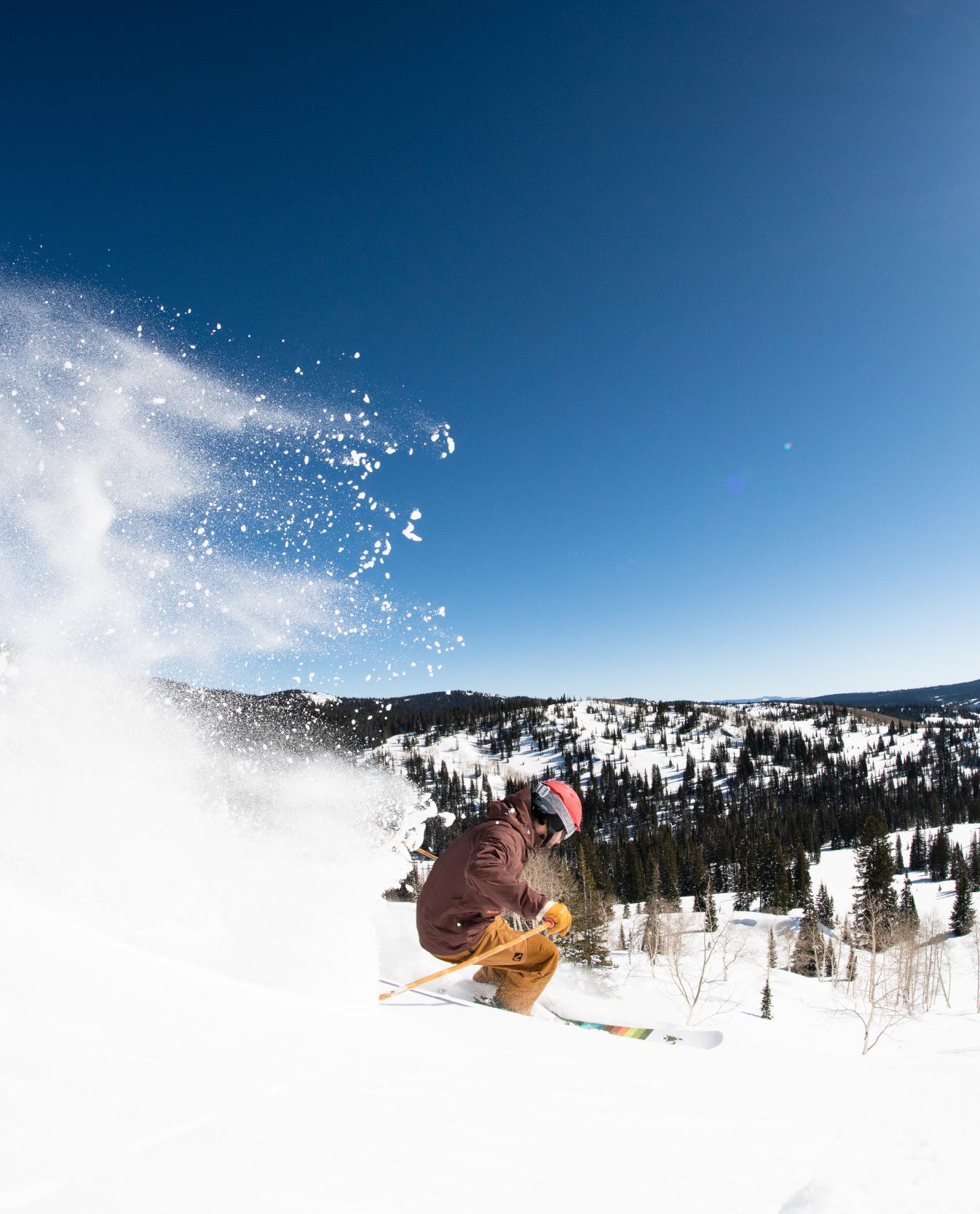 Skier shredding fresh powder on a sunny day
