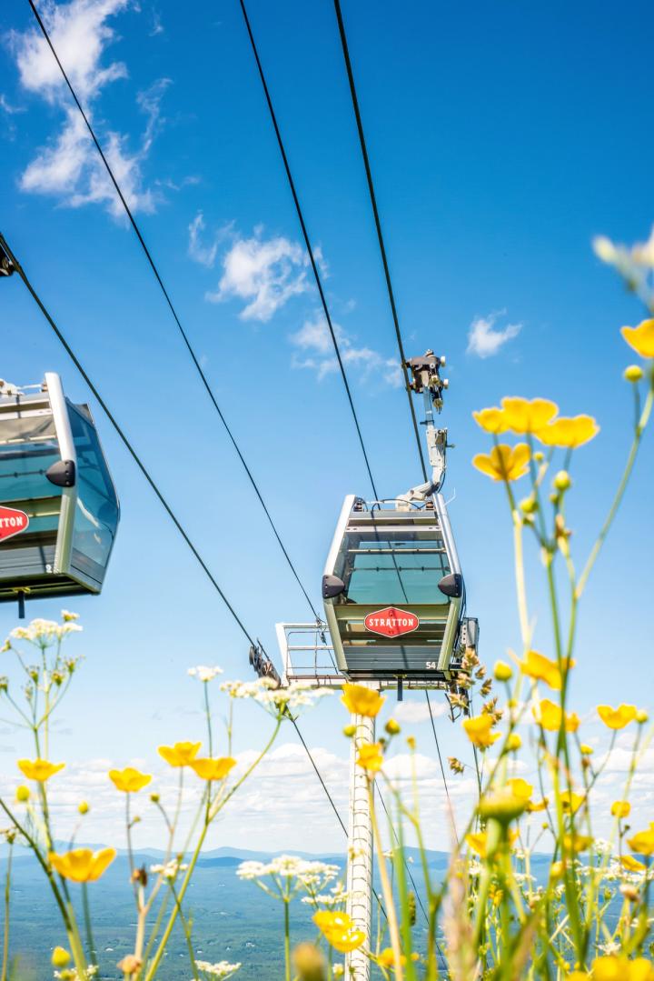 A gondola car hanging over a field of wildflowers