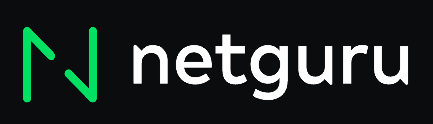 Netguru logo