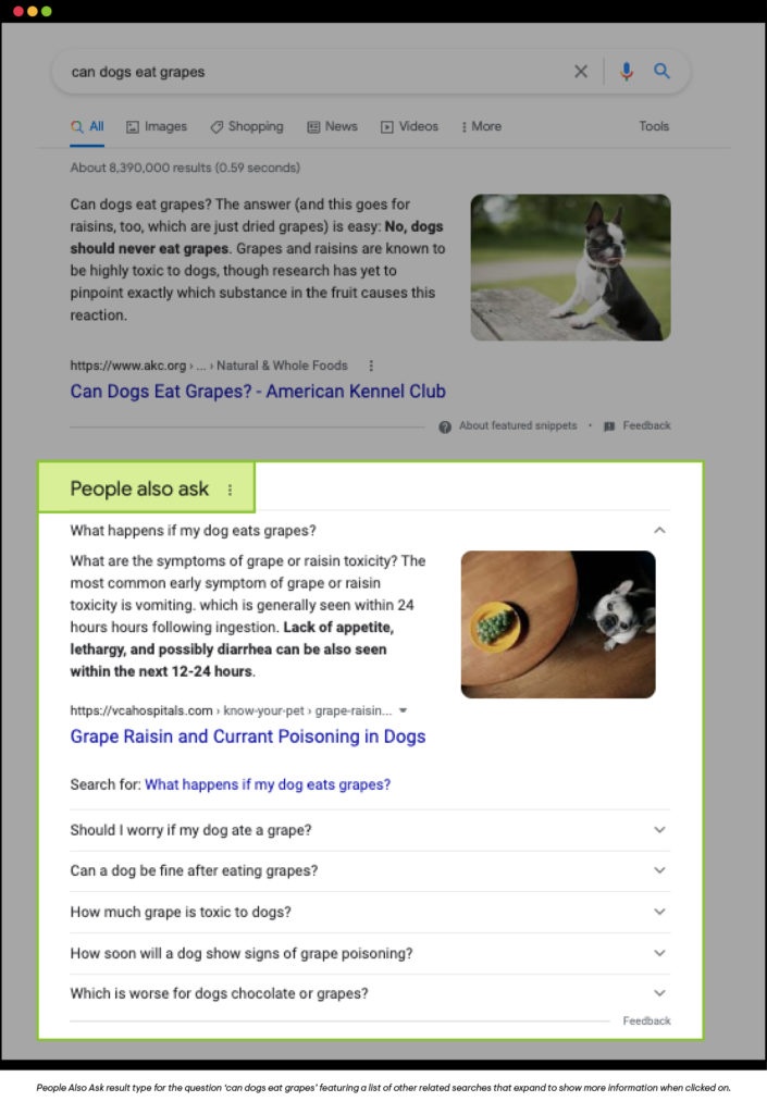 People Also Ask result type for the question ‘can dogs eat grapes’ featuring a list of other related searches that expand to show more information when clicked on.