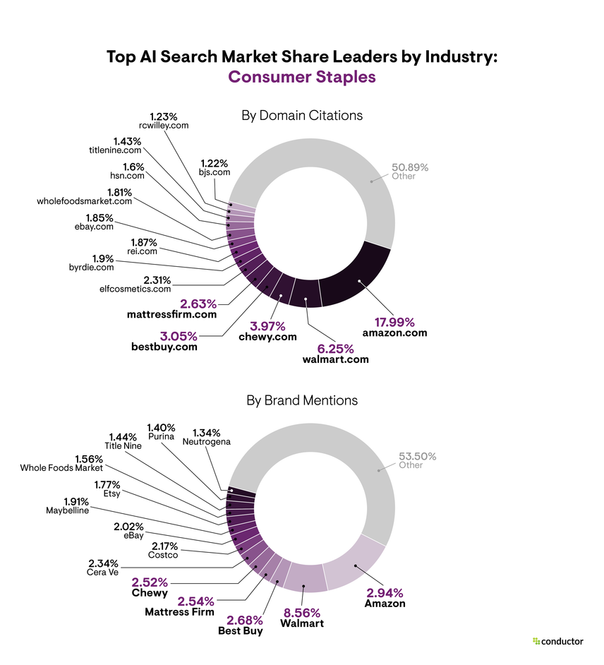Pie chart depicting the market share leaders based on total number of AI citations and brand mentions in the Consumer Staples industry.