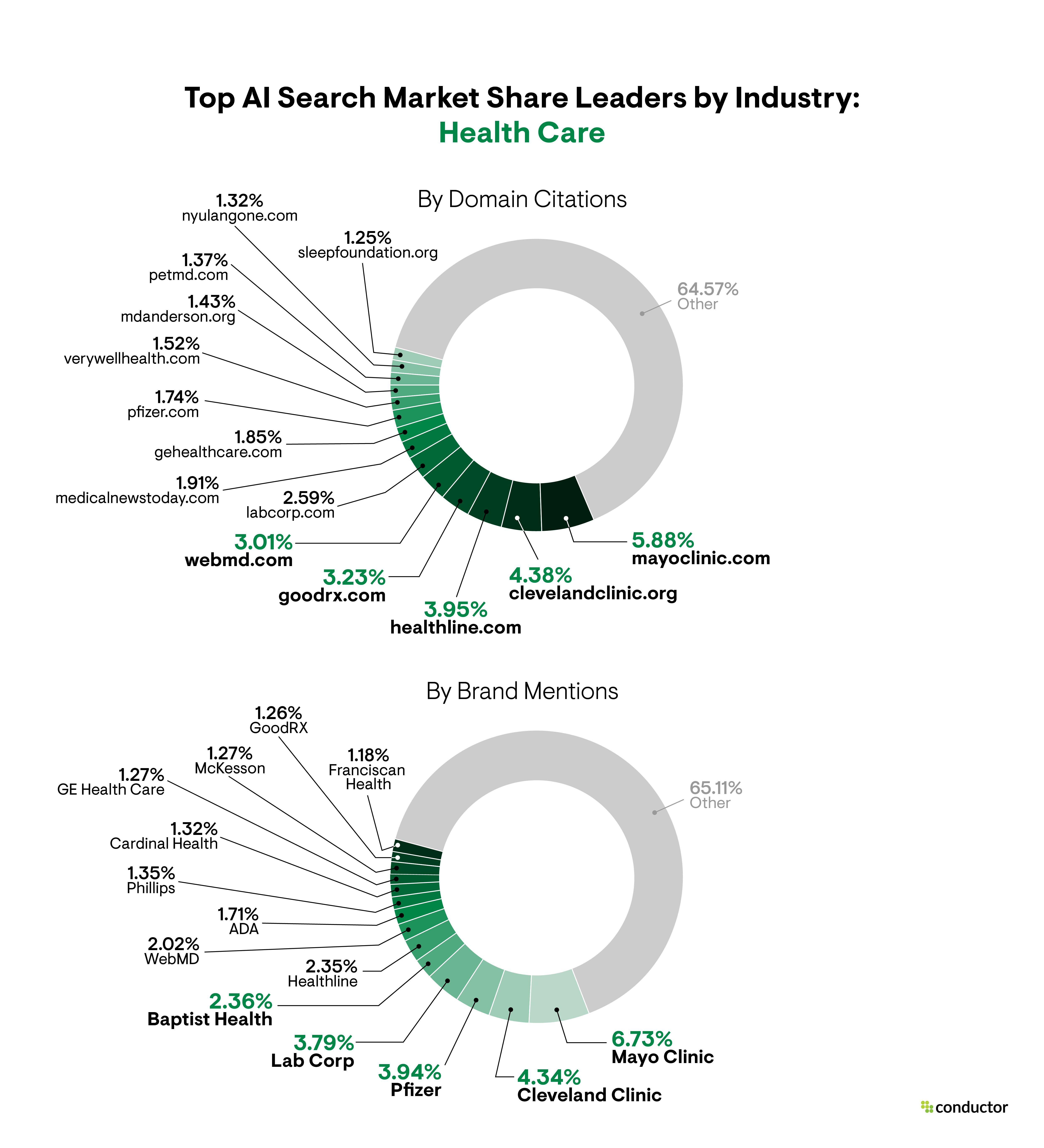Pie chart depicting the market share leaders based on total number of AI citations and brand mentions in the Health Care industry.