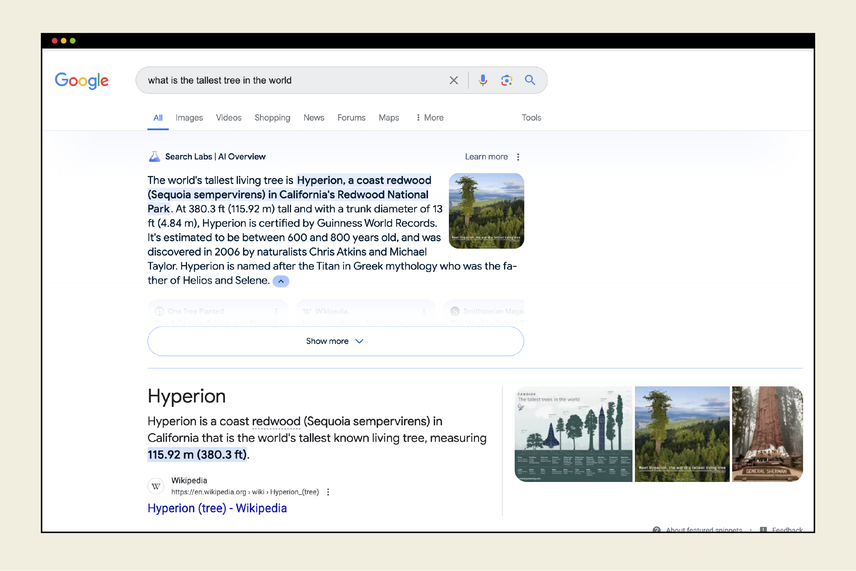 What is the tallest tree in the world?