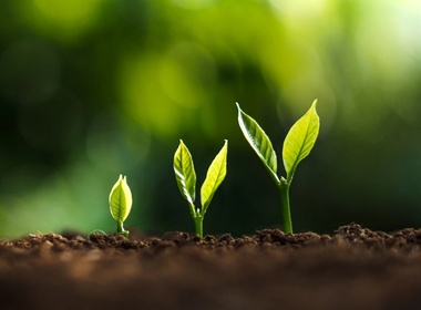 high growth companies