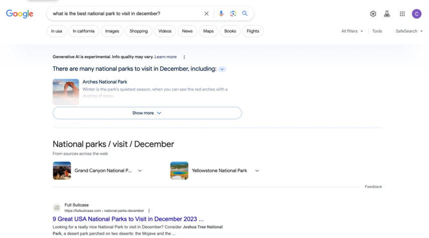 Screenshot of the Google SERP and AI snapshot