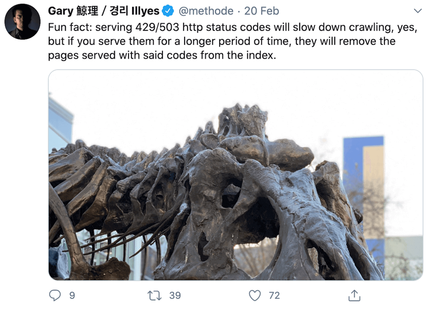 HTTP Status Codes and SEO: what you need to know