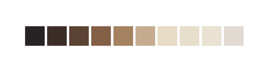 monk skin tone scale for search