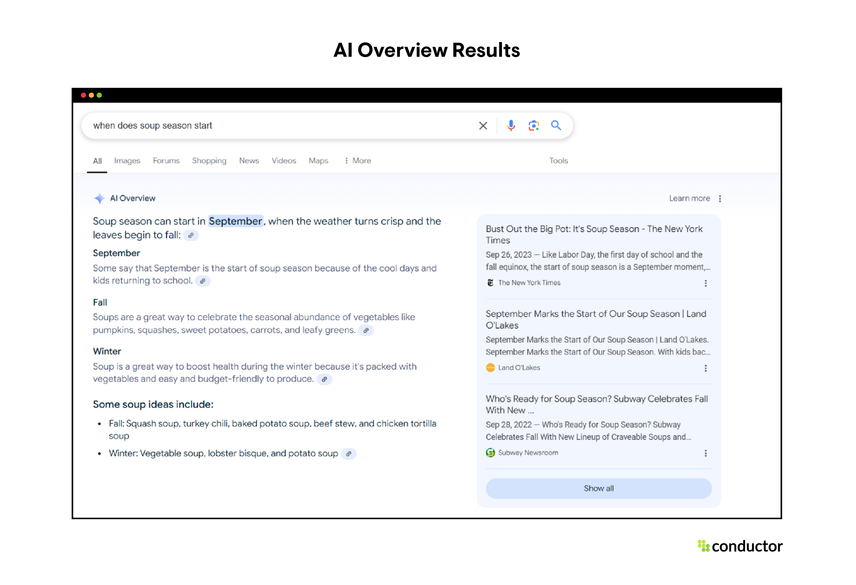 AI Overview Result Type from Google