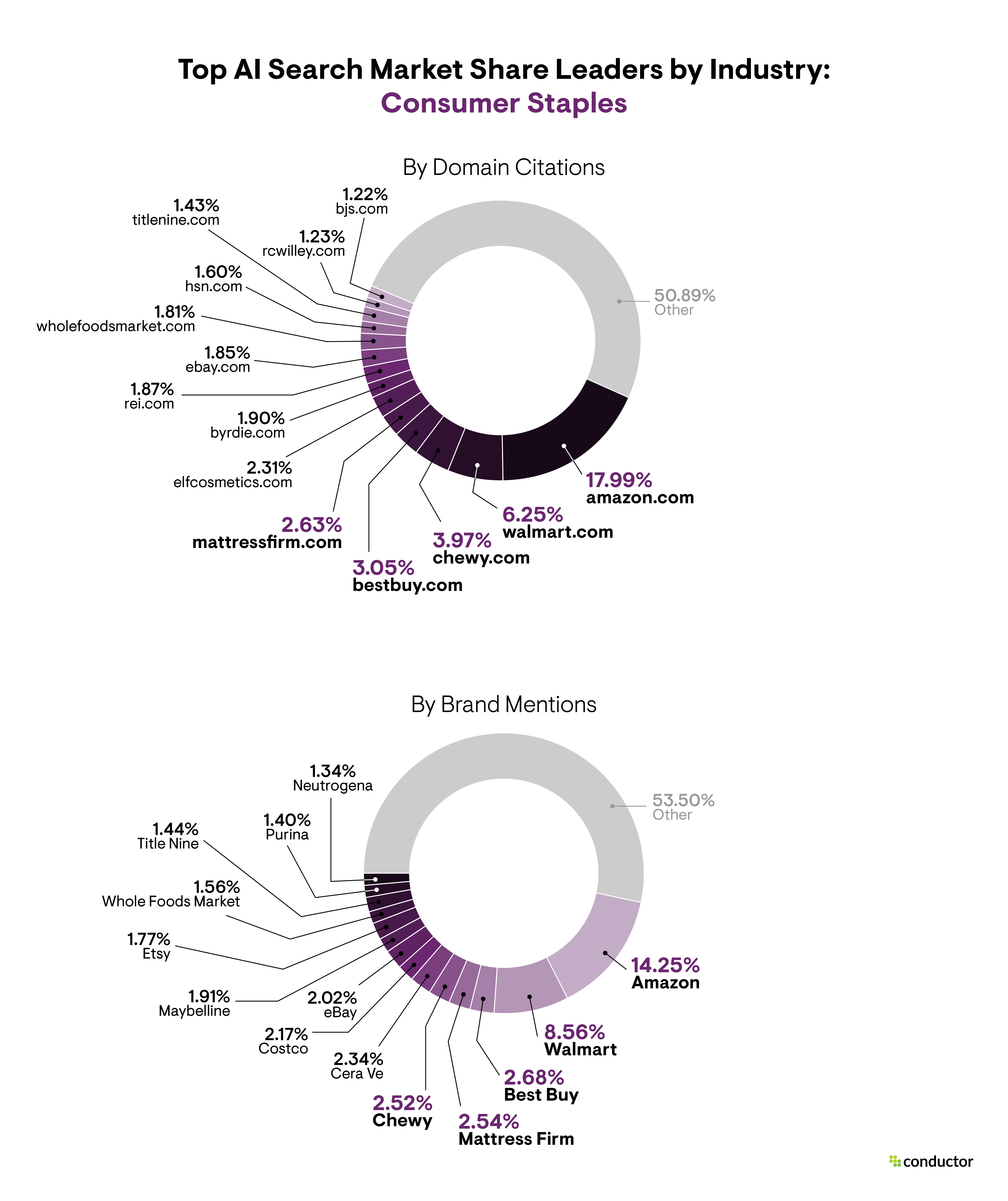 Pie chart depicting the market share leaders based on total number of AI citations and brand mentions in the Consumer Staples industry.