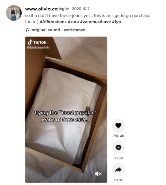 Tik Tok Zara Haul Screenshot