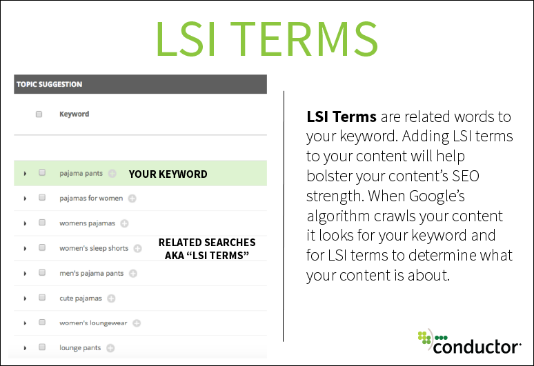 seo lsi terms