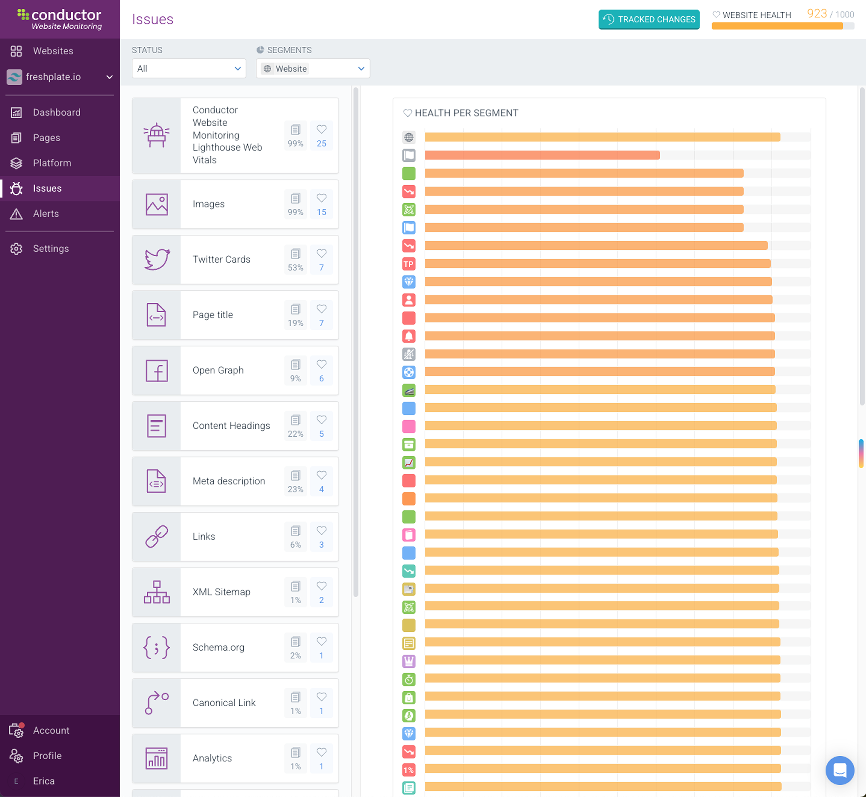 Screenshot of issue monitoring in Conductor